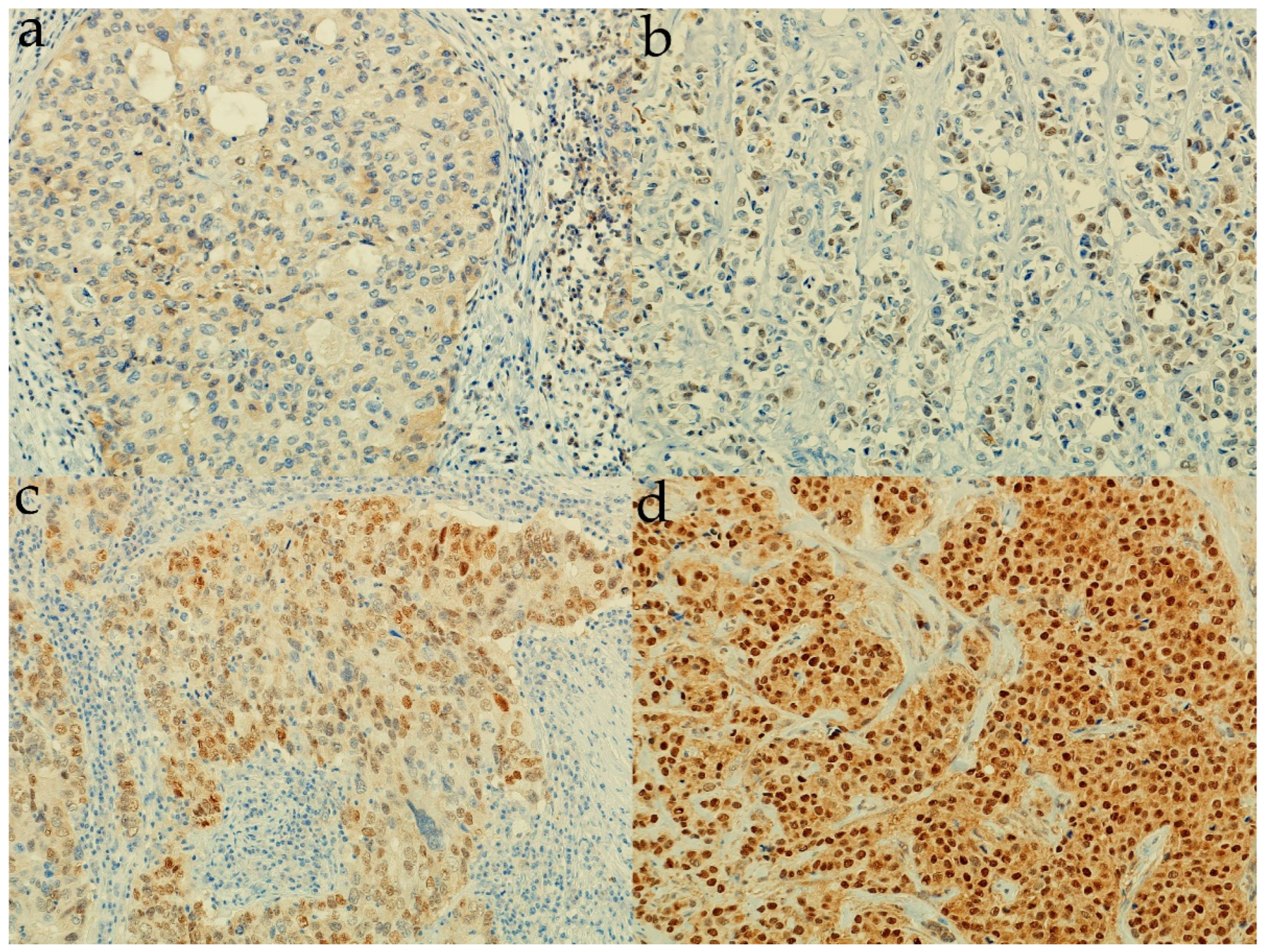 Life 12 01559 g001 Life 12 01559 g001