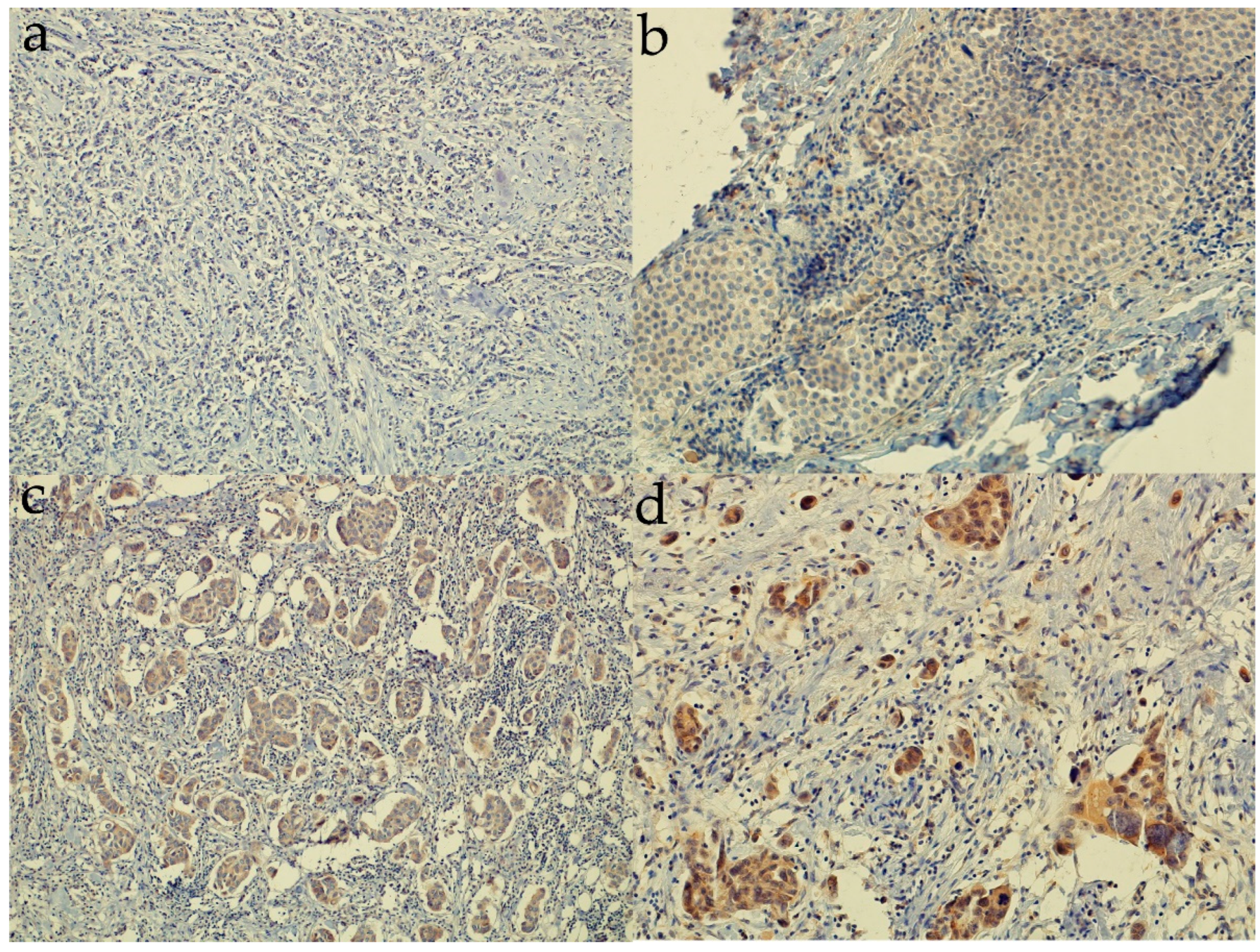 Life 12 01559 g002 Life 12 01559 g002