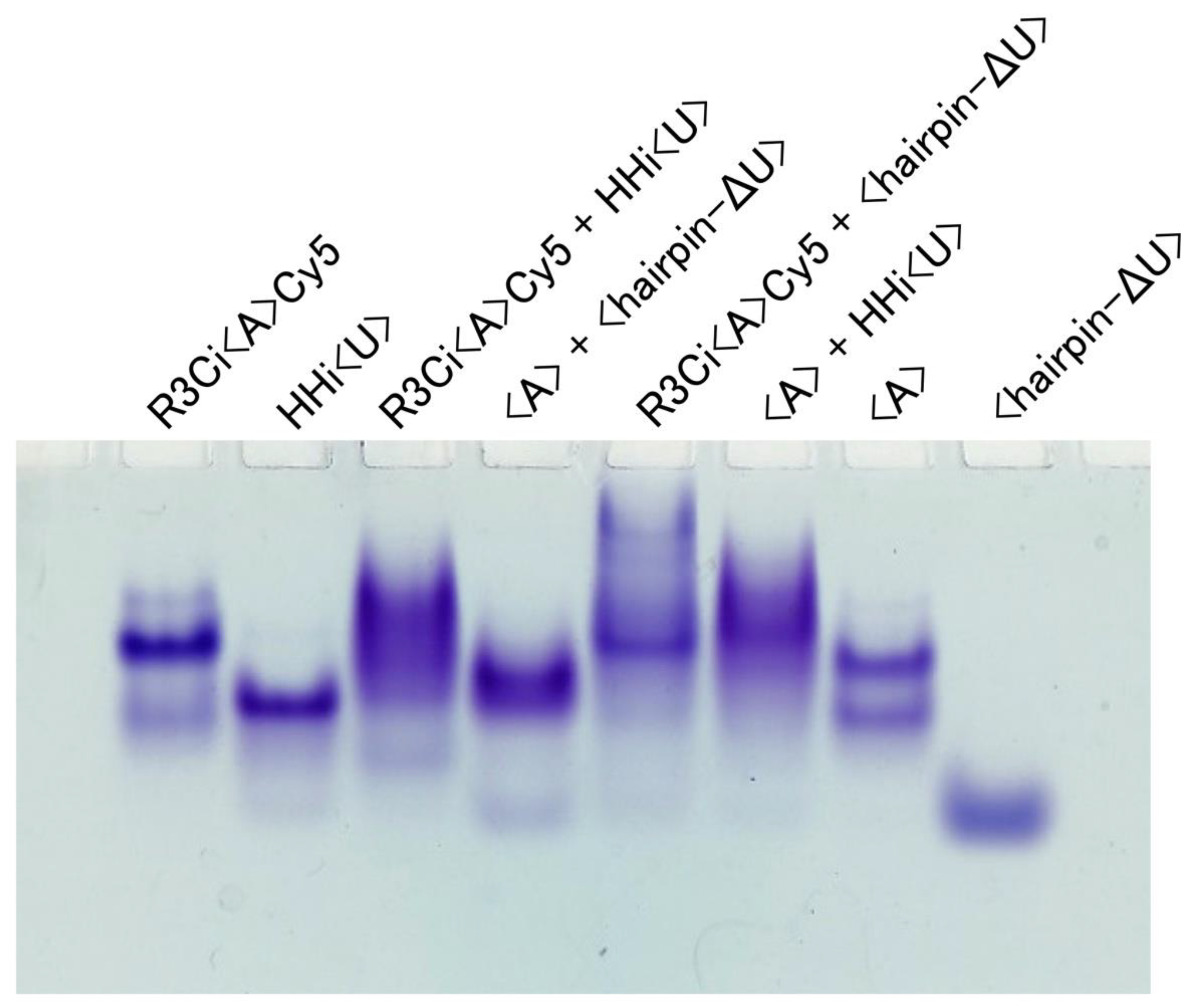 Life 12 01561 g003 Life 12 01561 g003