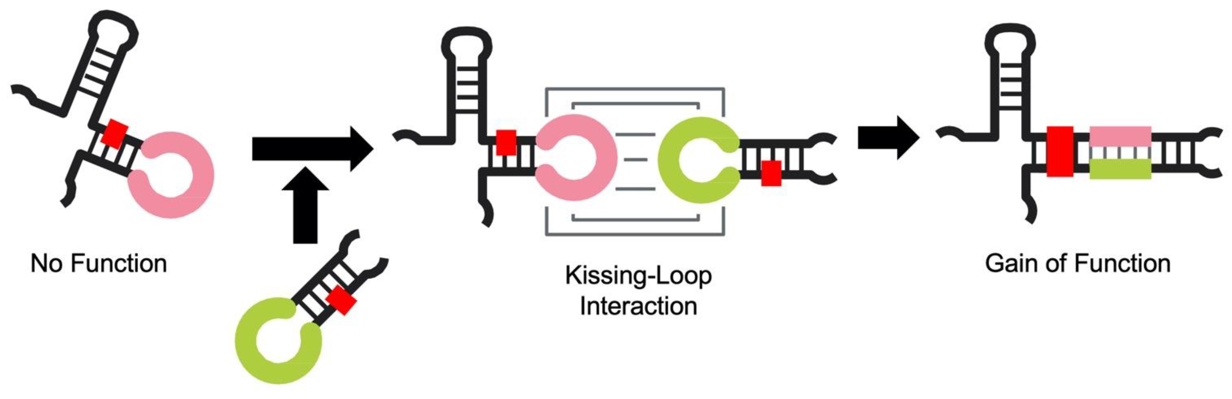 Life 12 01561 g006 Life 12 01561 g006