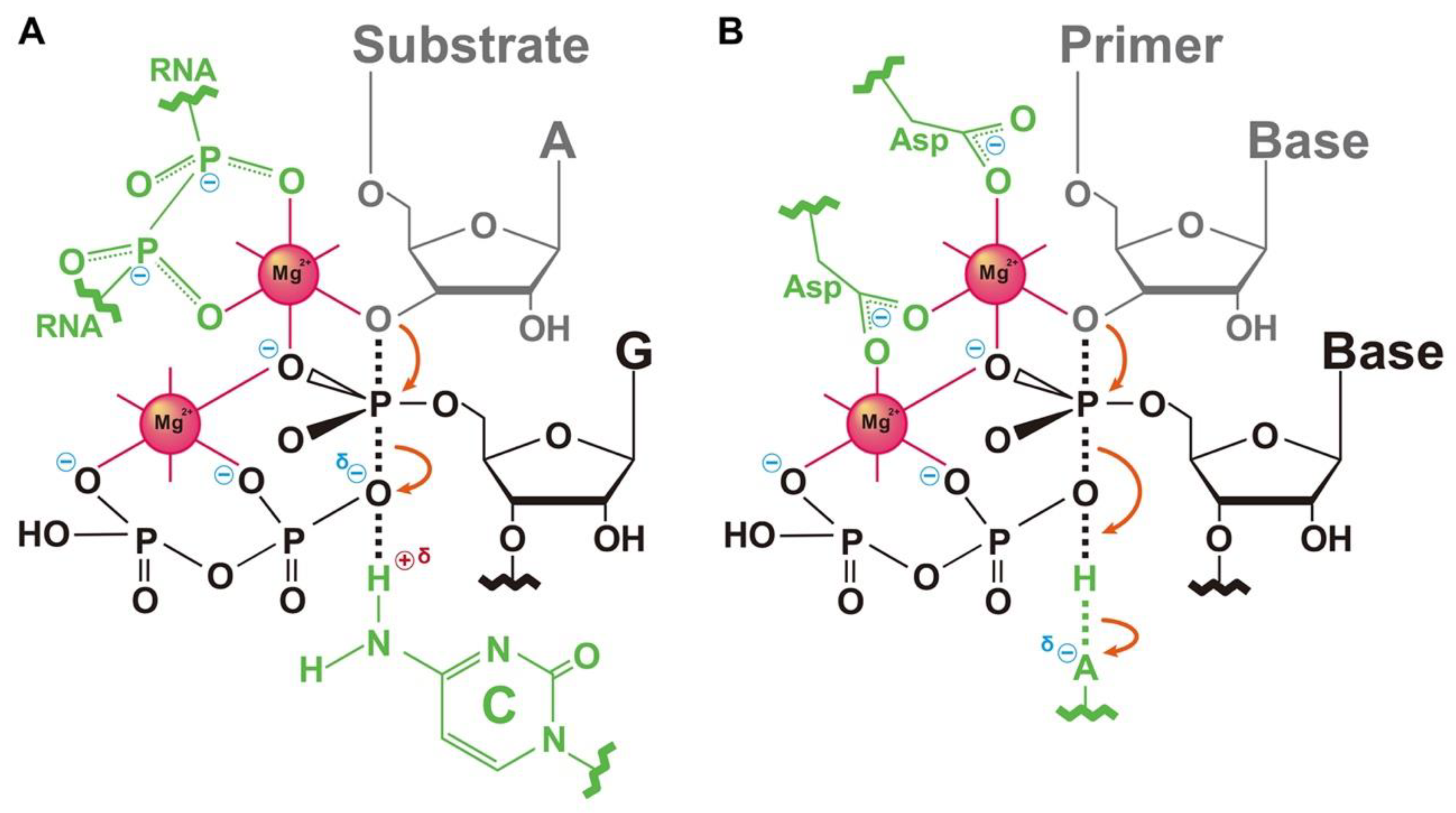 Life 12 01561 g007 Life 12 01561 g007