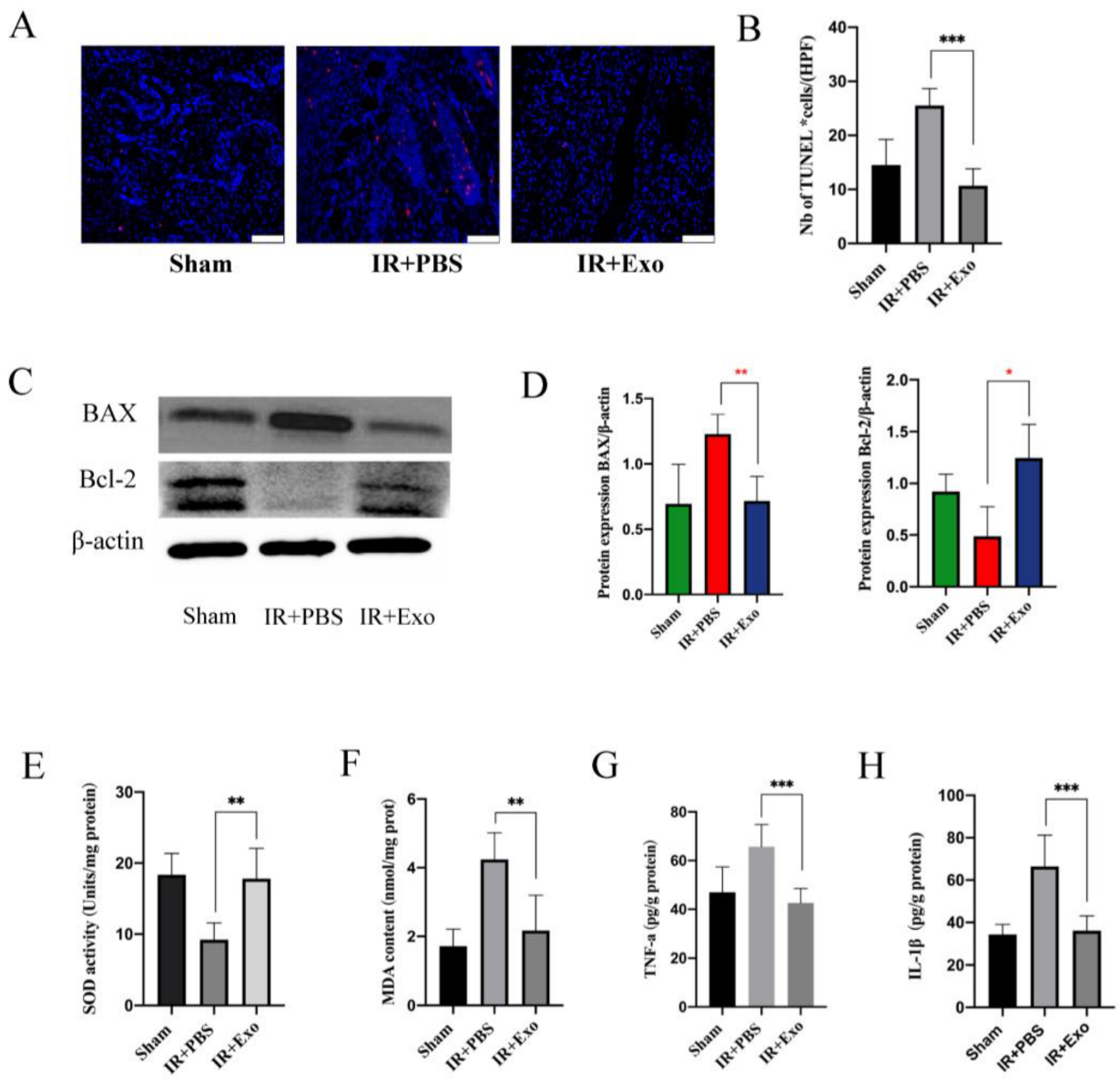 Life 12 01567 g004 Life 12 01567 g004