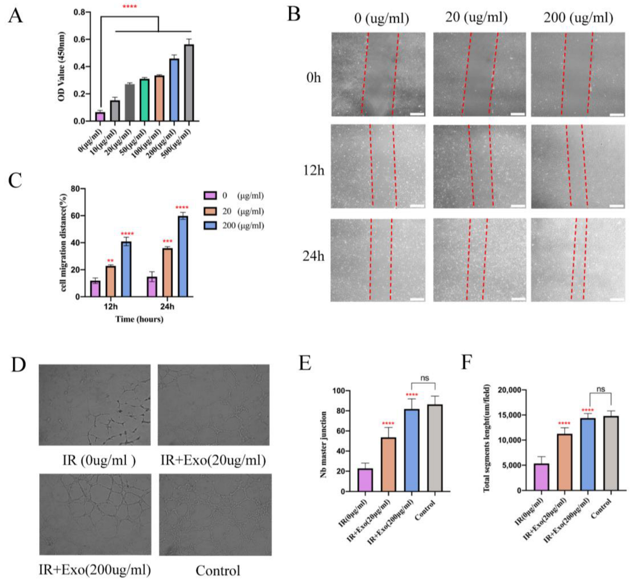 Life 12 01567 g005 Life 12 01567 g005