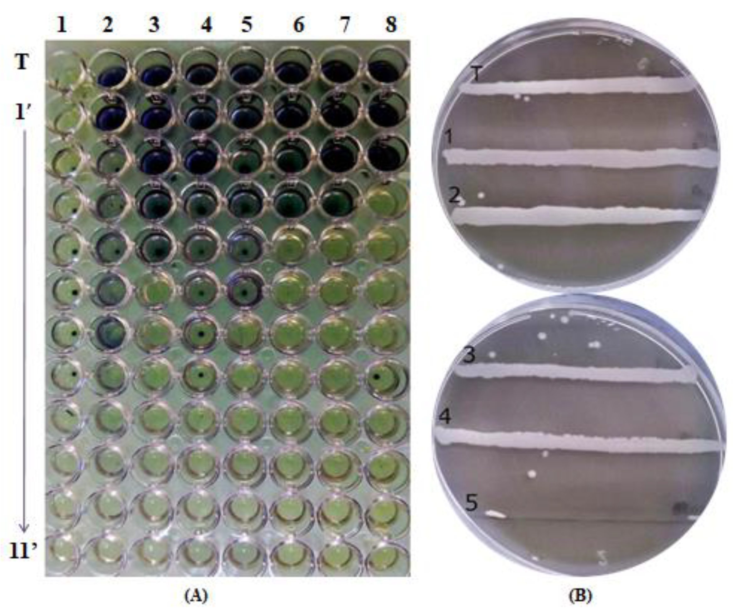 Life 12 01571 g002 Life 12 01571 g002