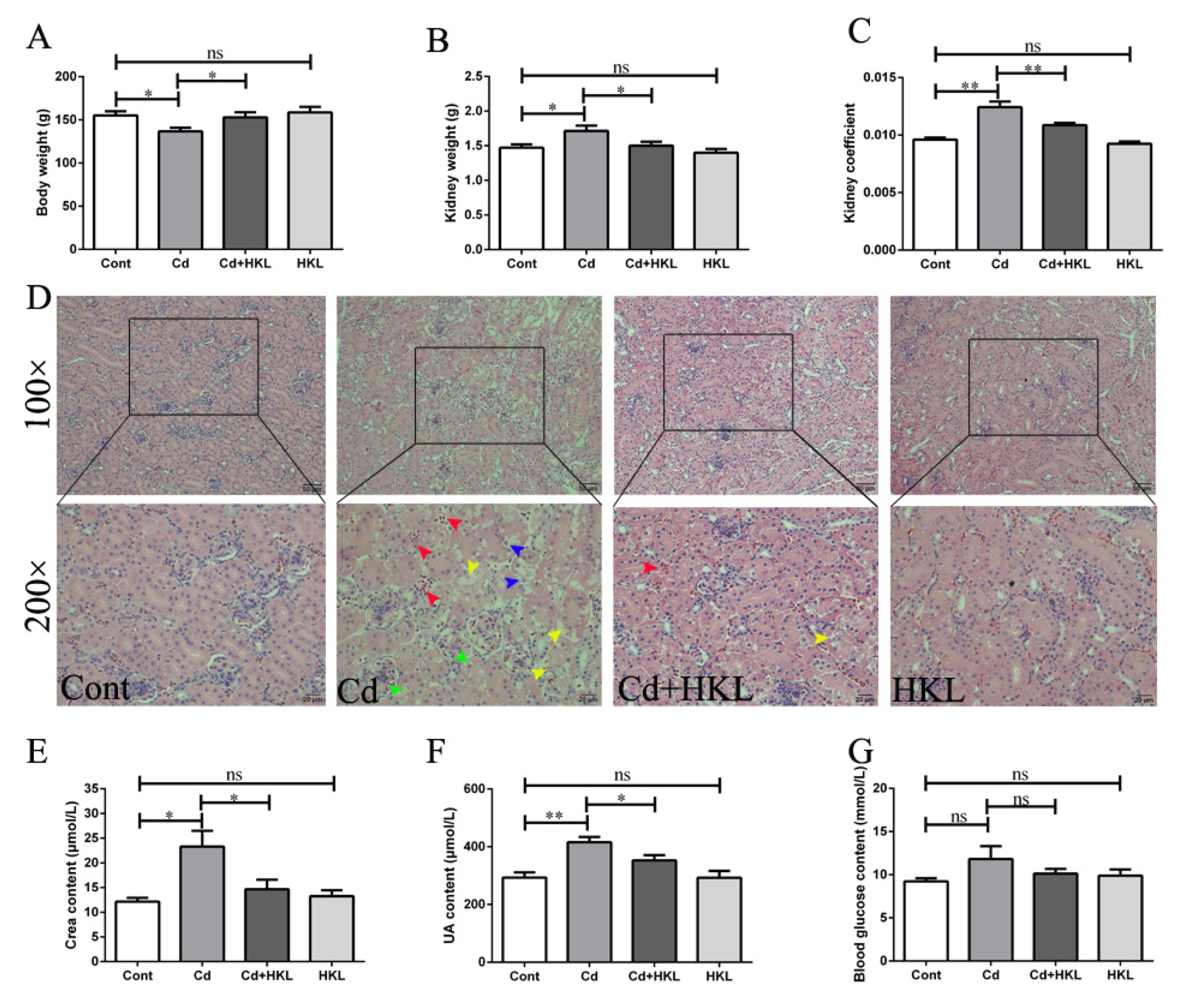 Life 12 01574 g001 Life 12 01574 g001