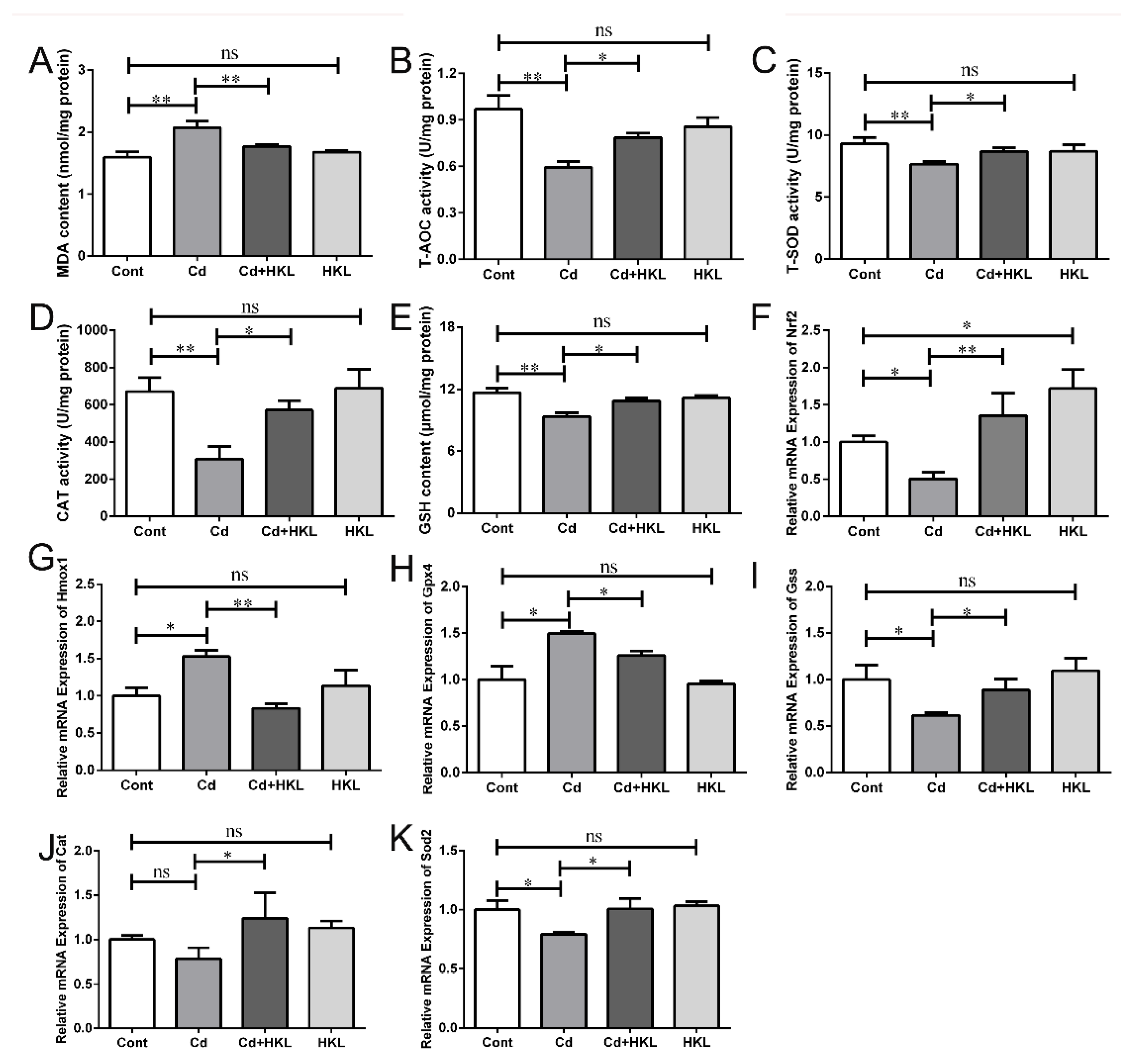 Life 12 01574 g002 Life 12 01574 g002