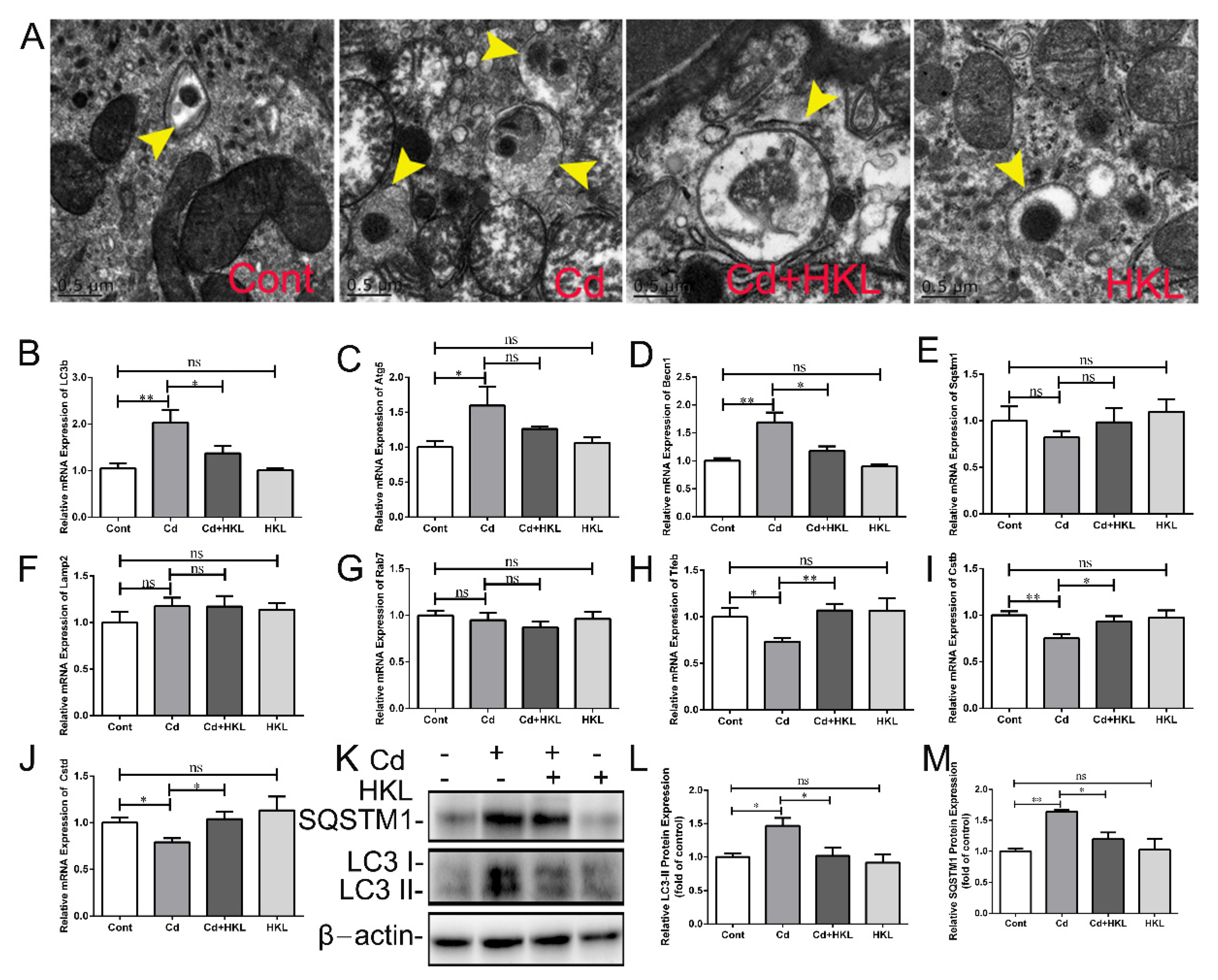 Life 12 01574 g004 Life 12 01574 g004