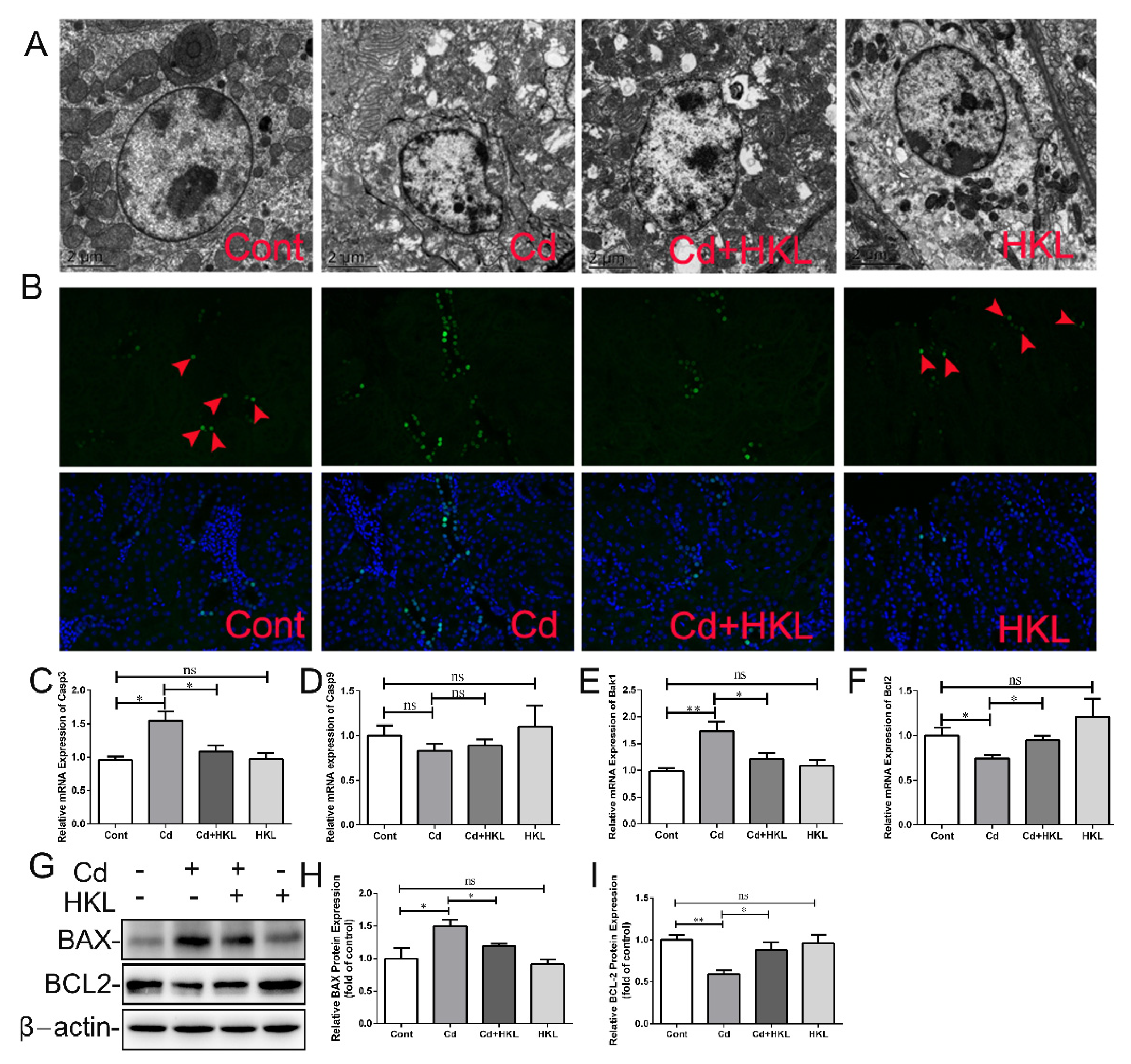 Life 12 01574 g005 Life 12 01574 g005