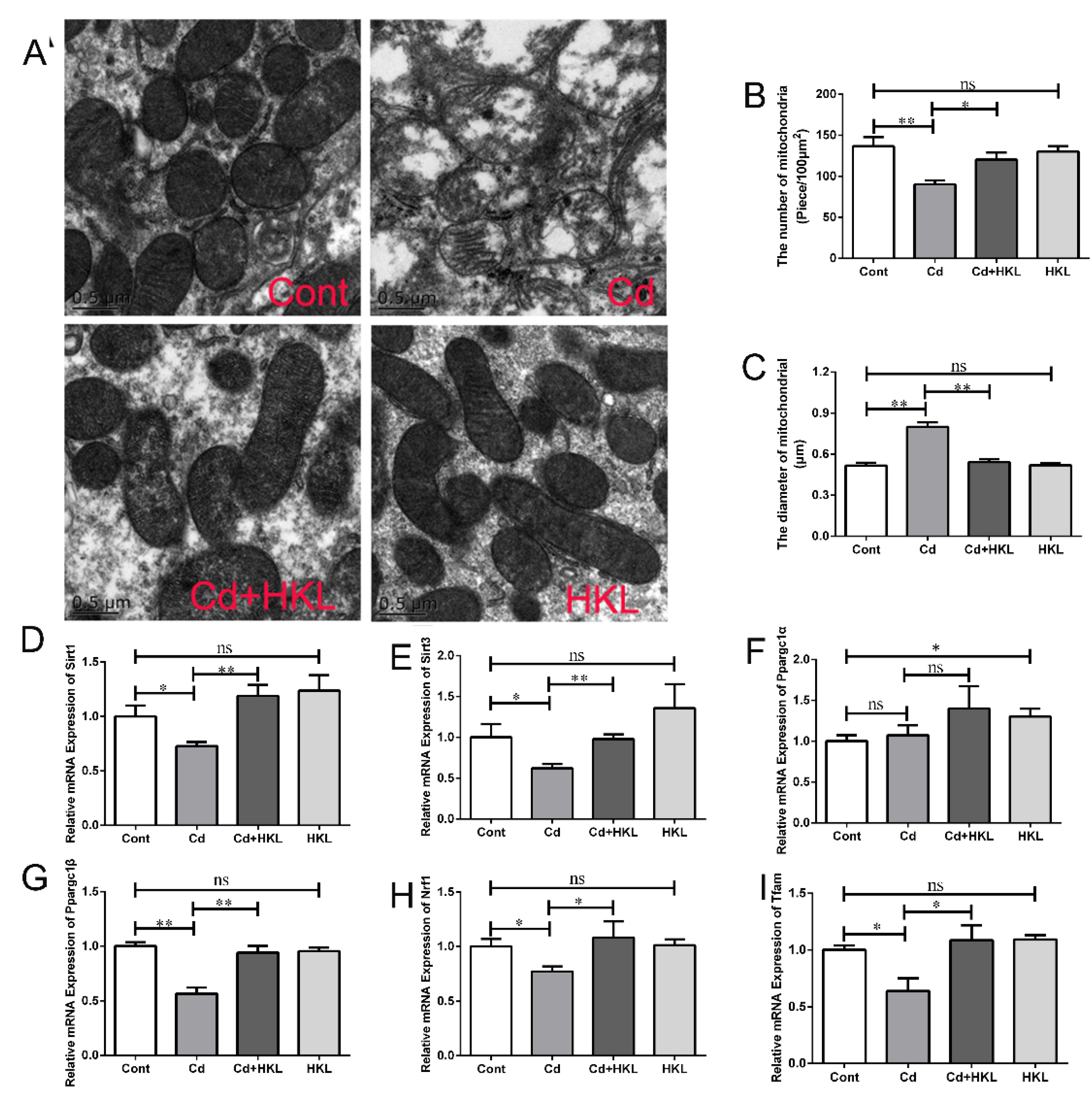 Life 12 01574 g006 Life 12 01574 g006