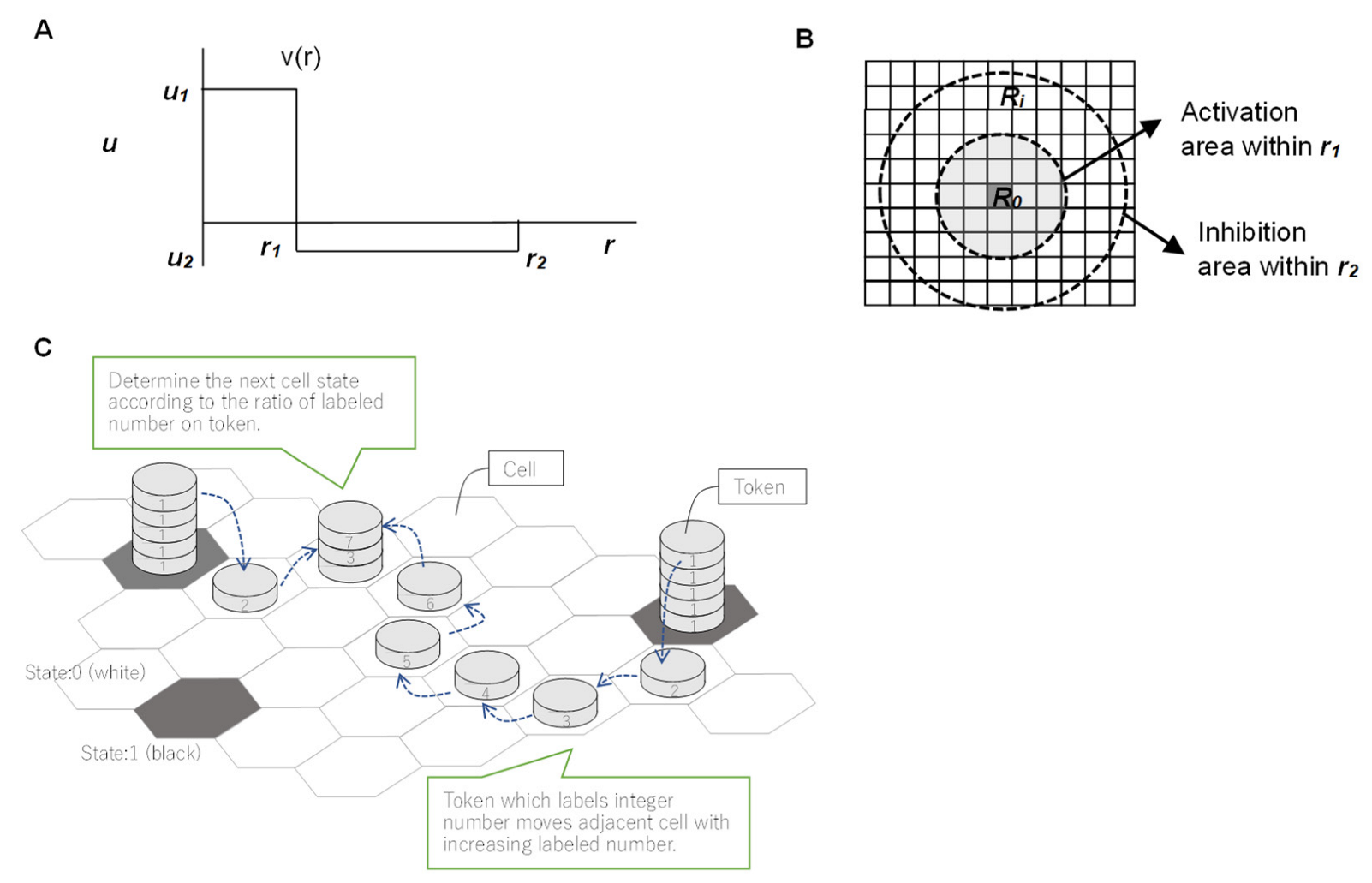 Life 12 01580 g003 Life 12 01580 g003