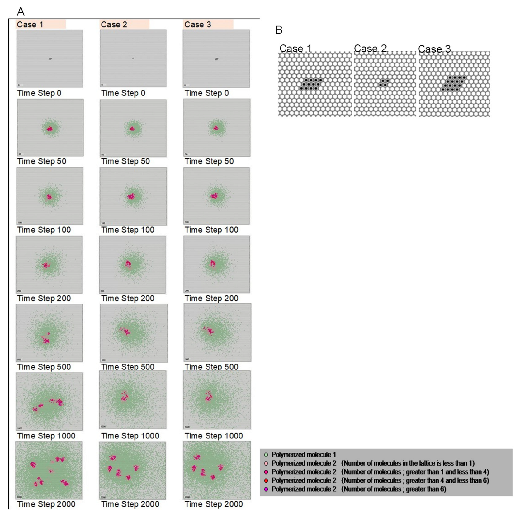 Life 12 01580 g007 Life 12 01580 g007