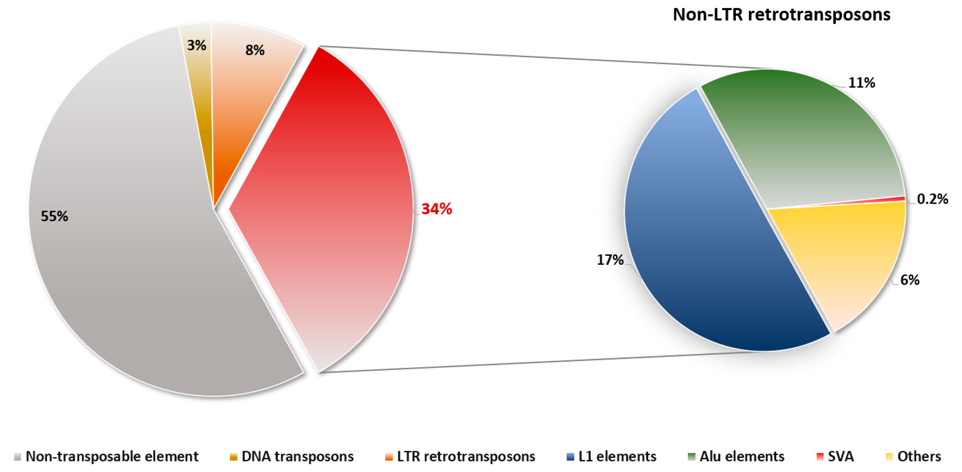 Life 12 01583 g001 Life 12 01583 g001