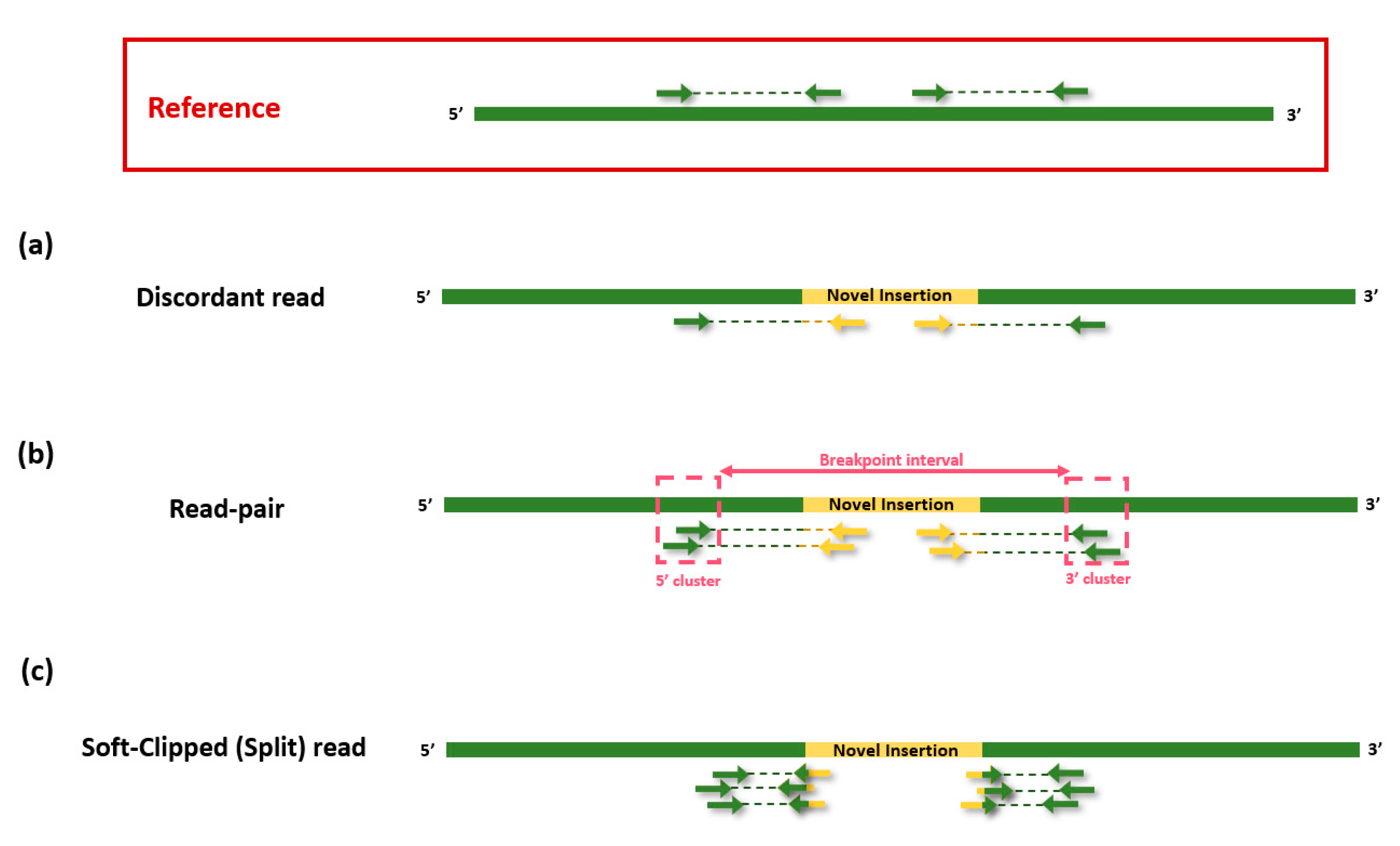 Life 12 01583 g003 Life 12 01583 g003