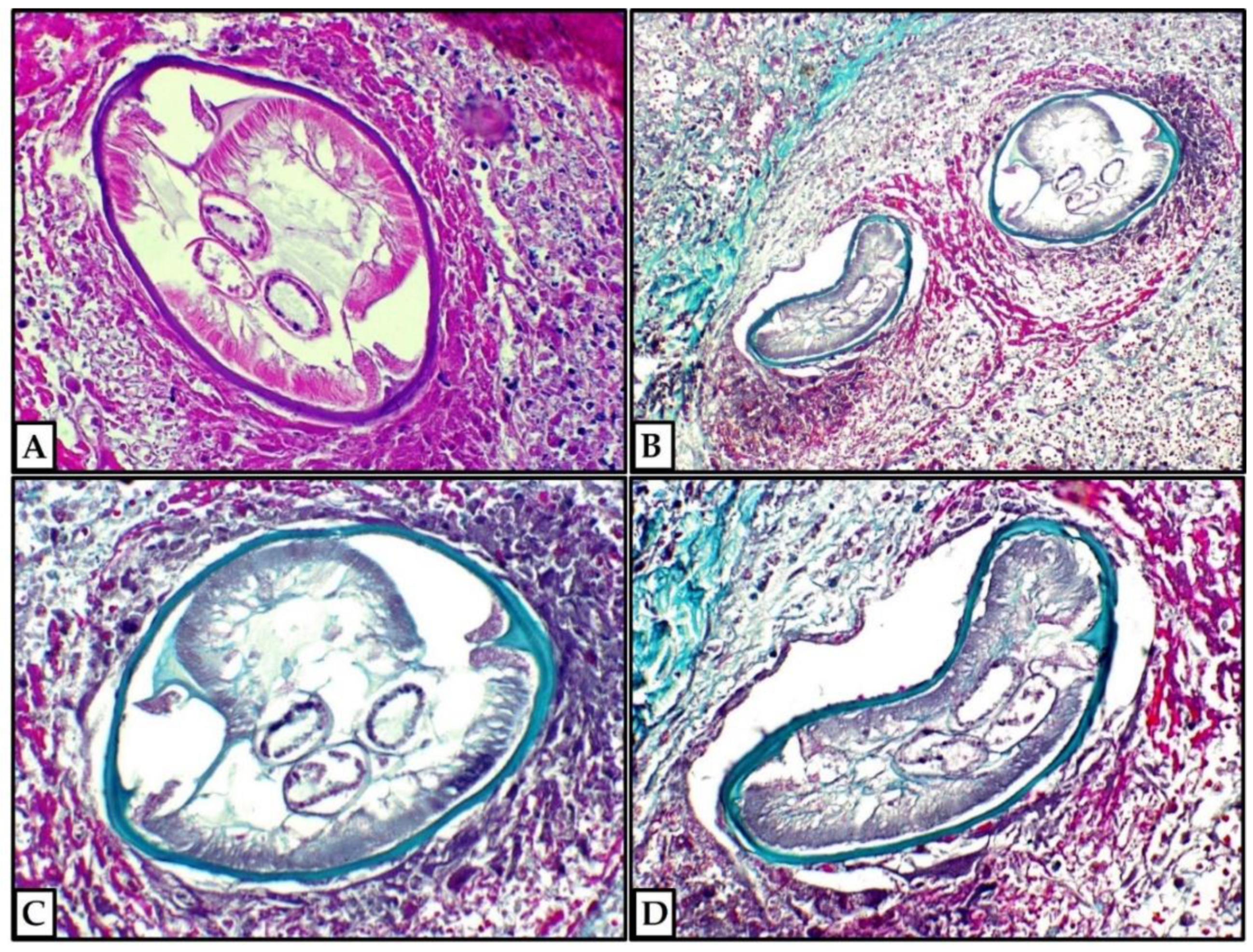 Life 12 01584 g003 Life 12 01584 g003