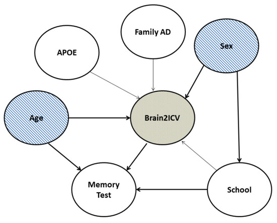 Life Free Full-Text A Causal Analysis of the Effect of Age and Sex Differences on Brain Atrophy in the Elderly Brain photo