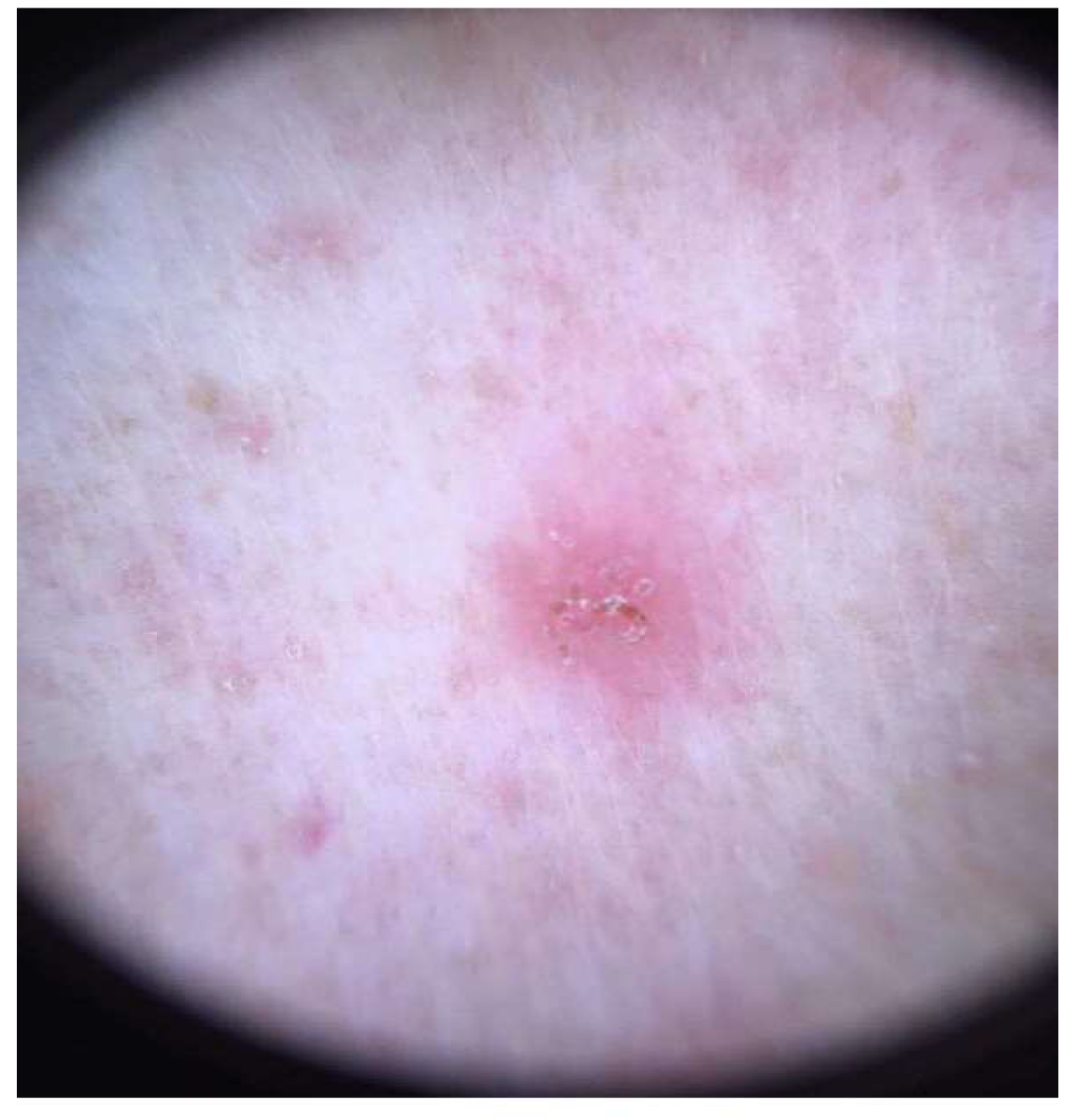 Life 12 01598 g002 Life 12 01598 g002