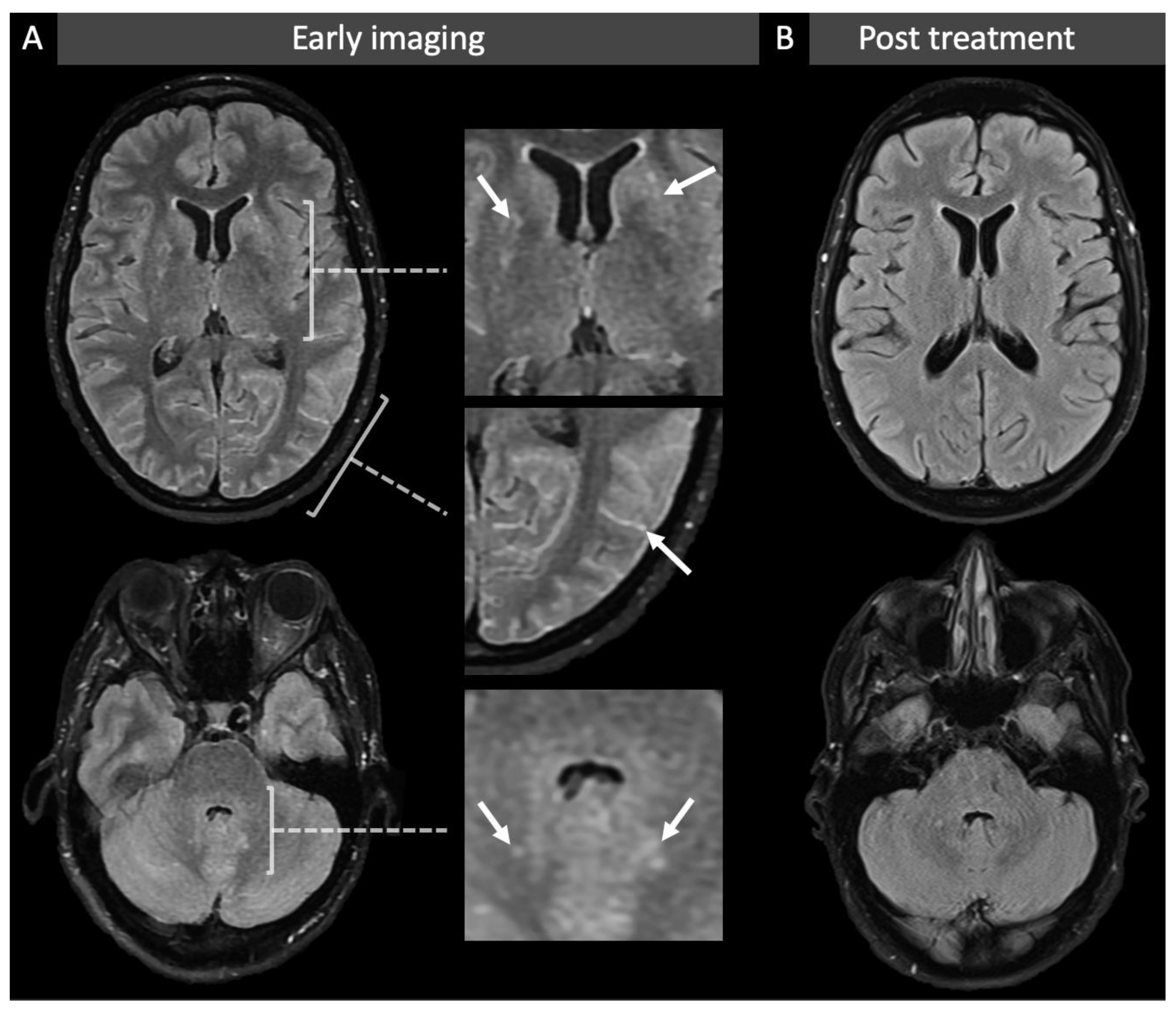 Life 12 01600 g001 Life 12 01600 g001