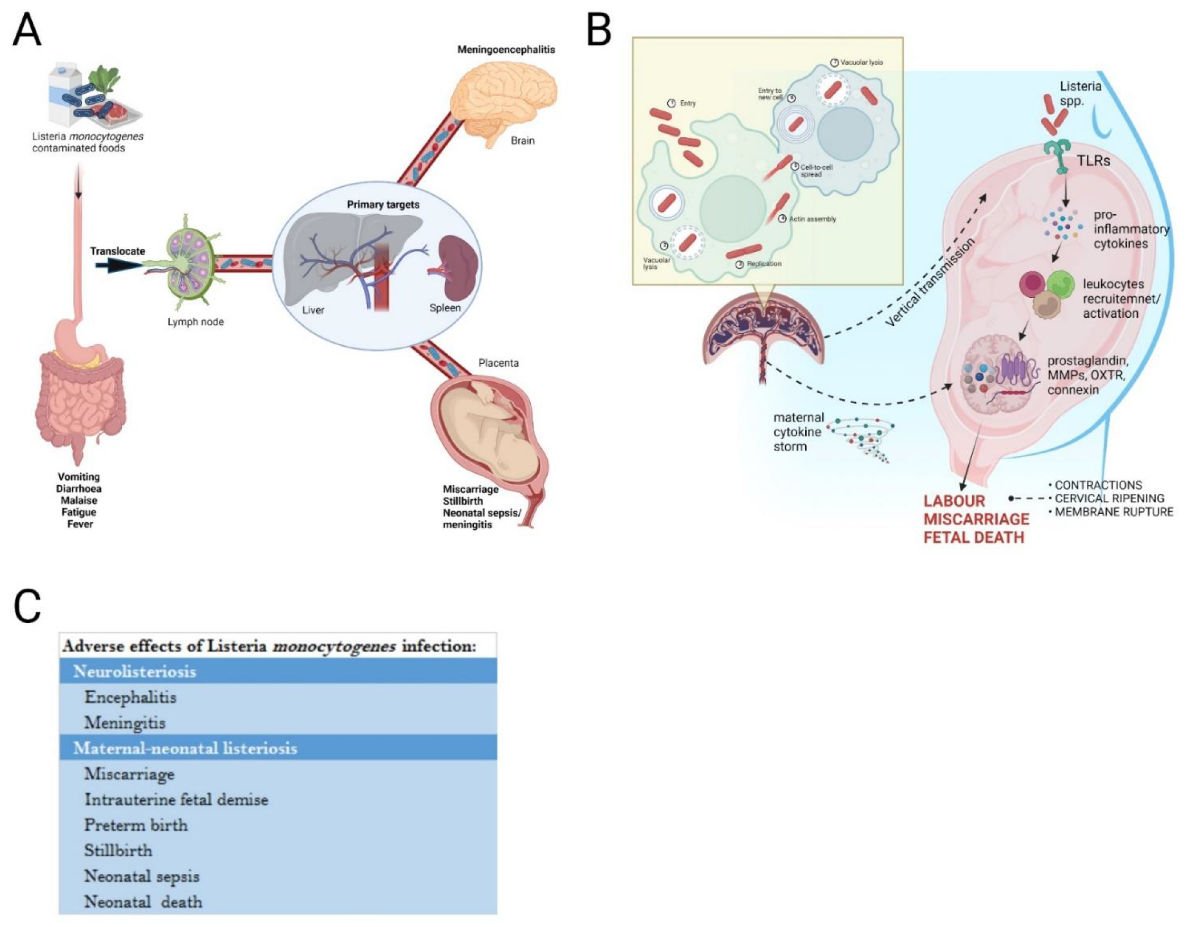 Life 12 01600 g004 Life 12 01600 g004