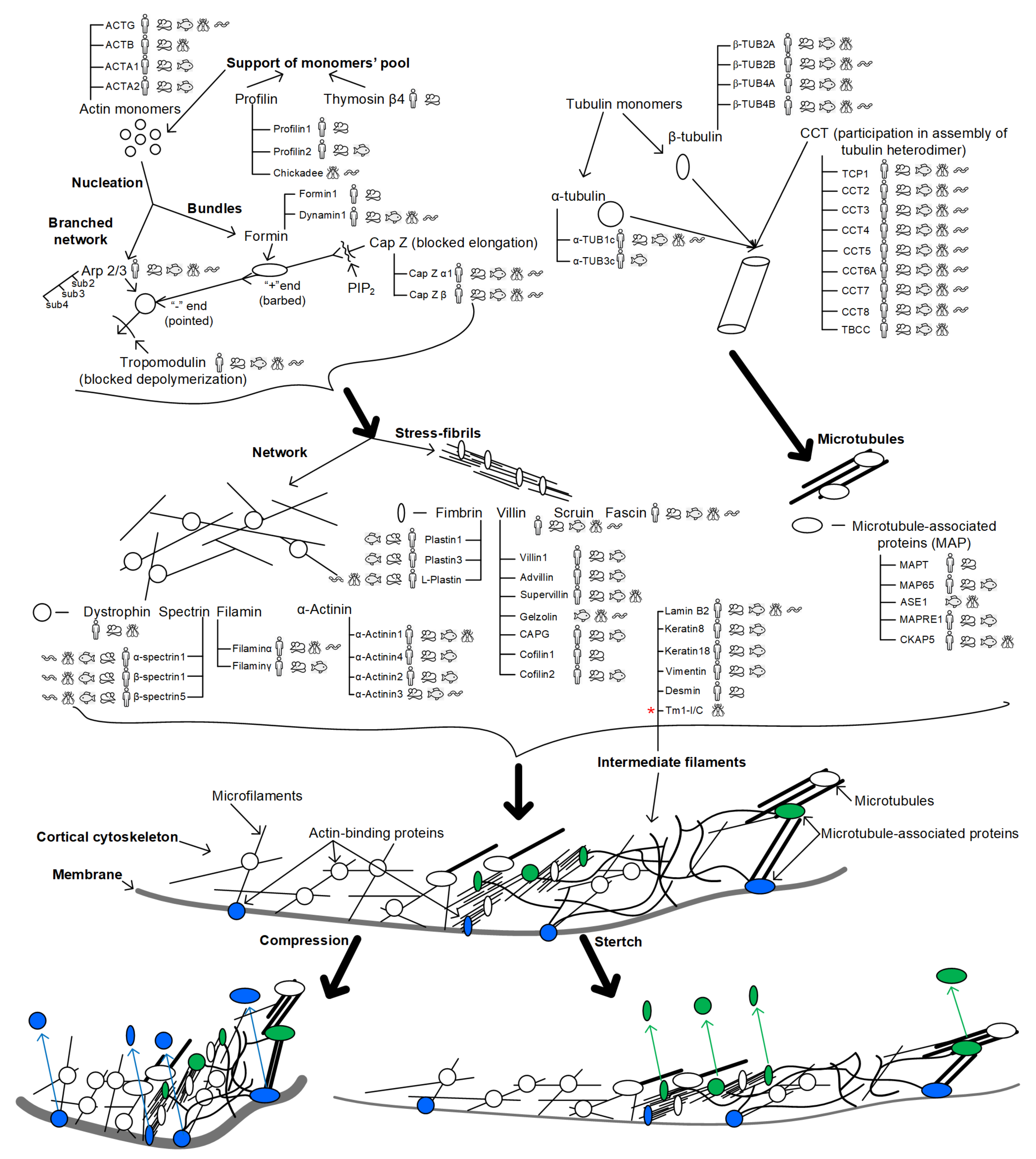 Life 12 01601 g001 Life 12 01601 g001