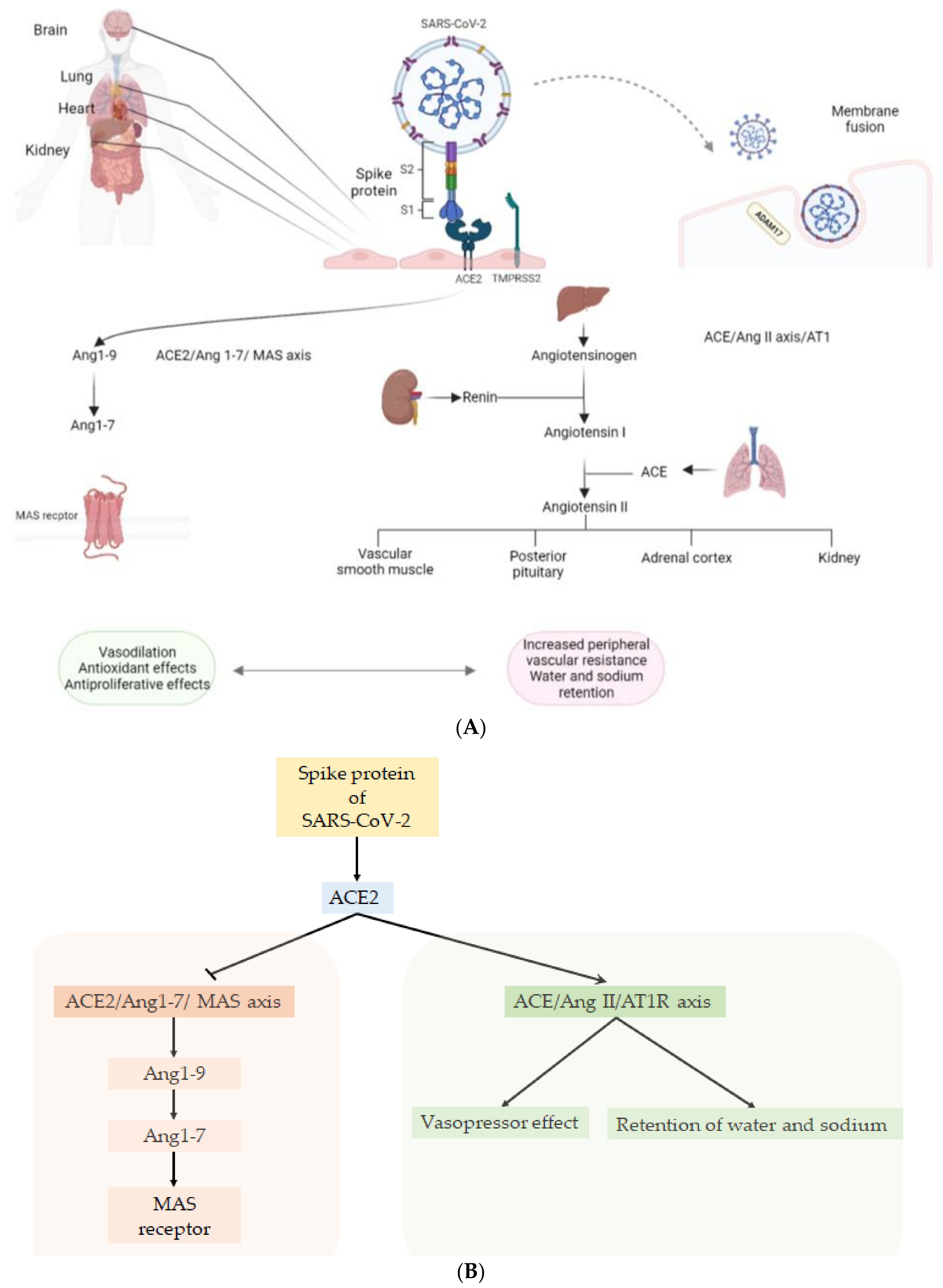 Life 12 01605 g001 Life 12 01605 g001