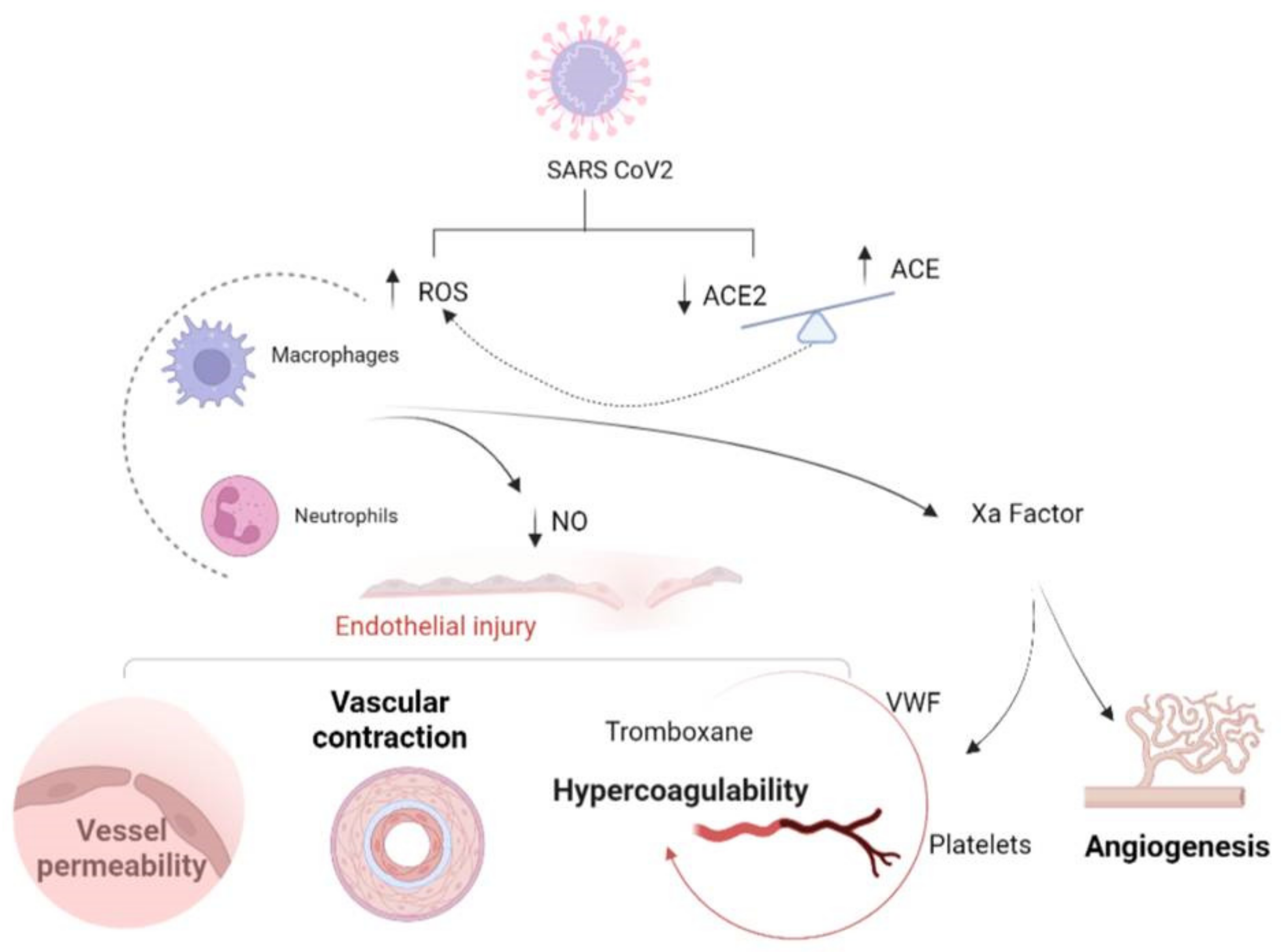 Life 12 01605 g002 Life 12 01605 g002