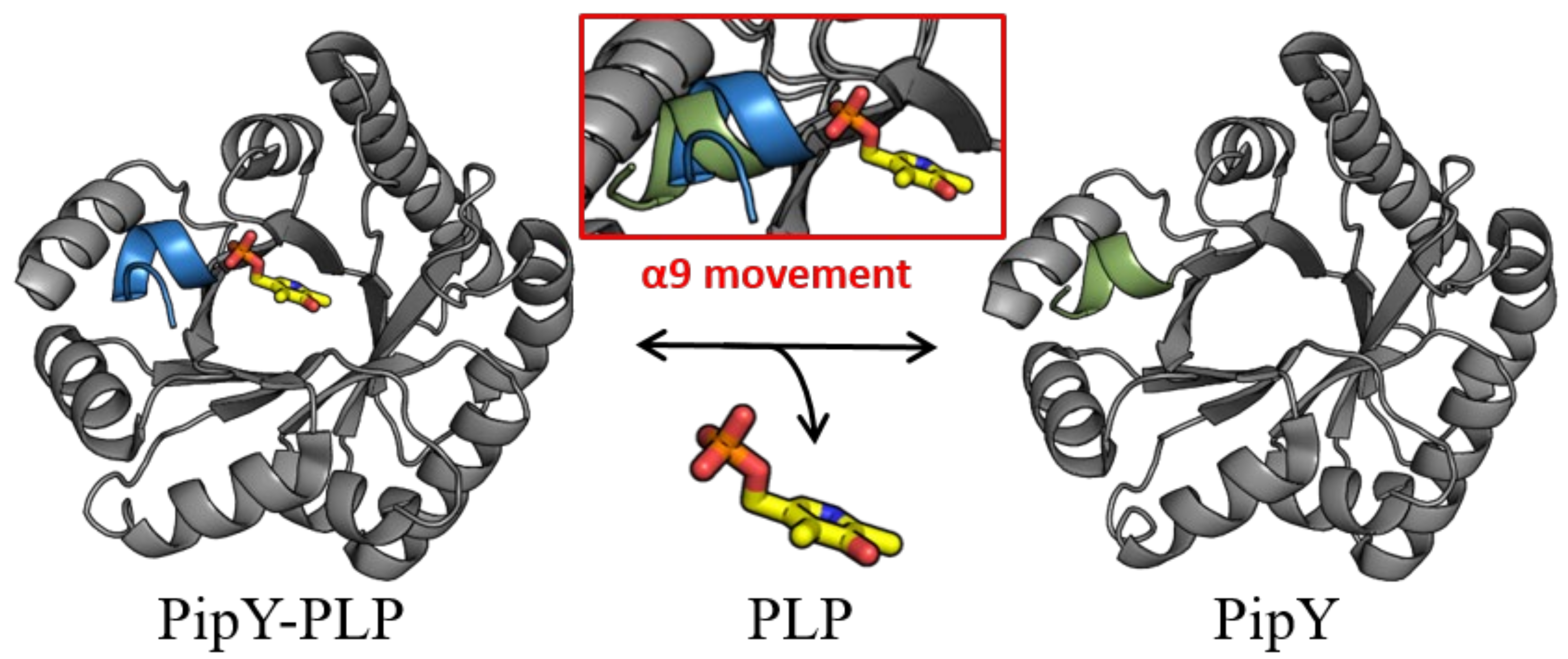 Life 12 01622 g002 Life 12 01622 g002