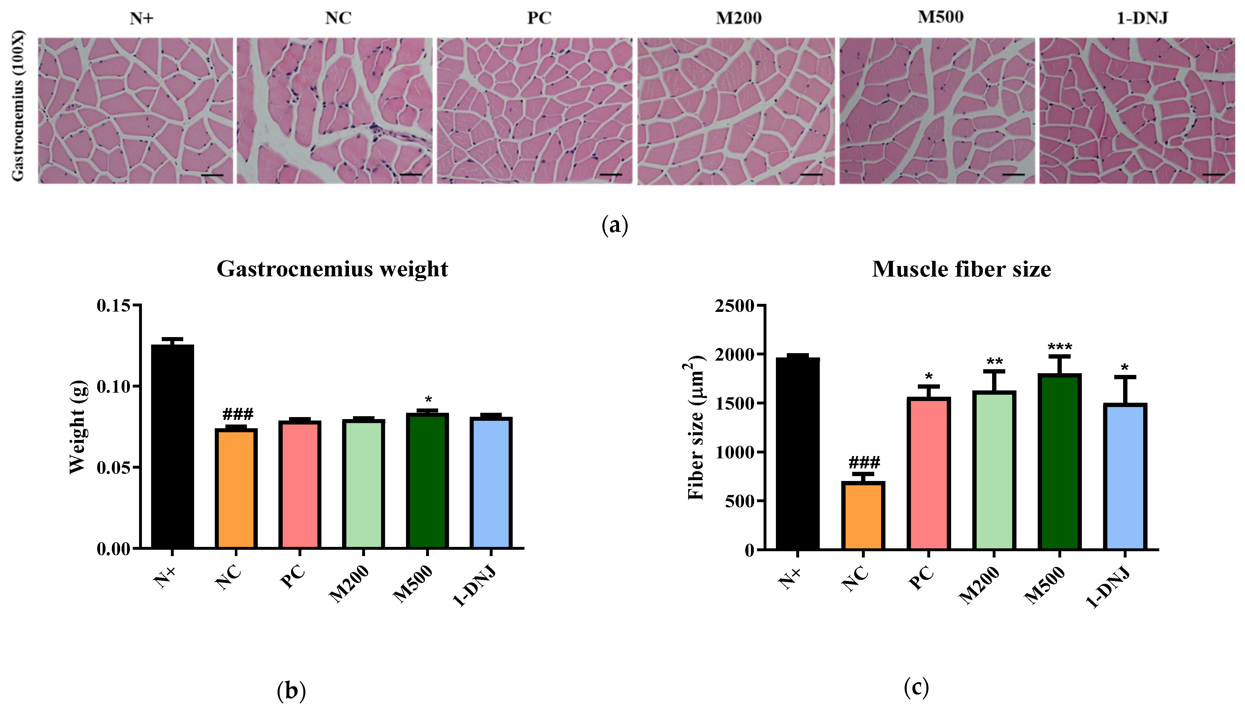 Life 12 01630 g004 Life 12 01630 g004