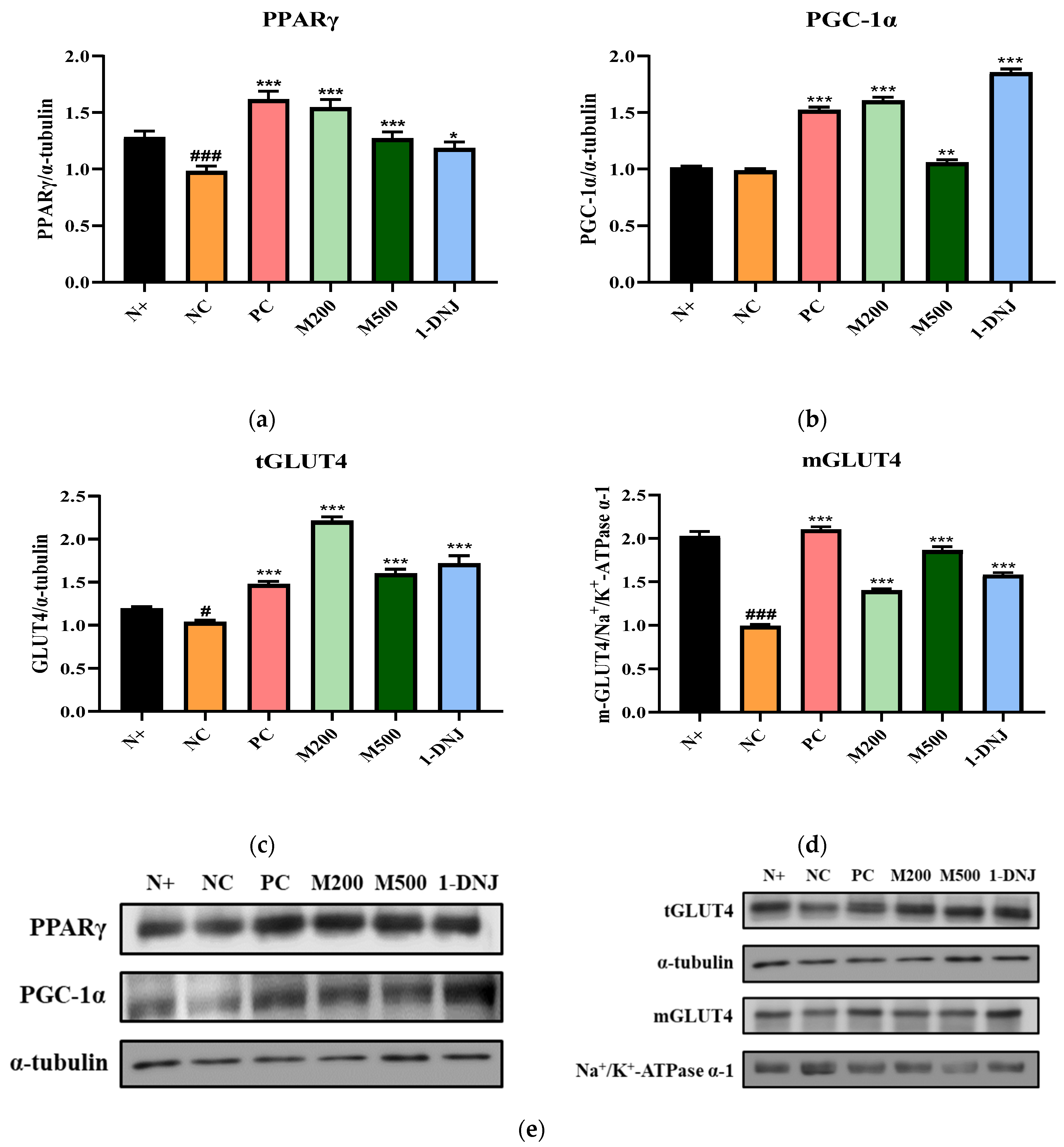 Life 12 01630 g005 Life 12 01630 g005