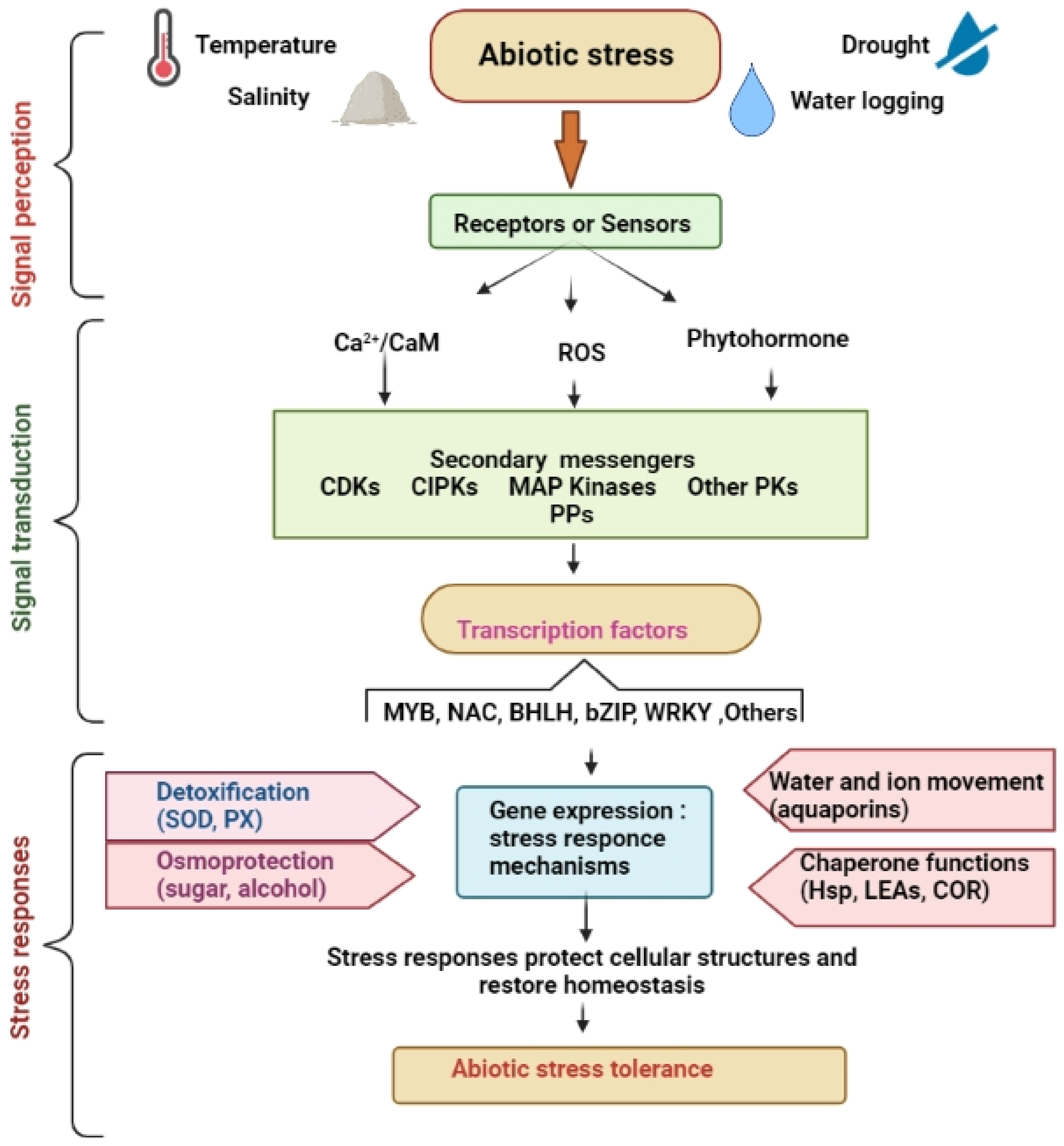 Molecular and Physiological Mechanisms to Mitigate Abiotic Molecular and Physiological Mechanisms to Mitigate Abiotic