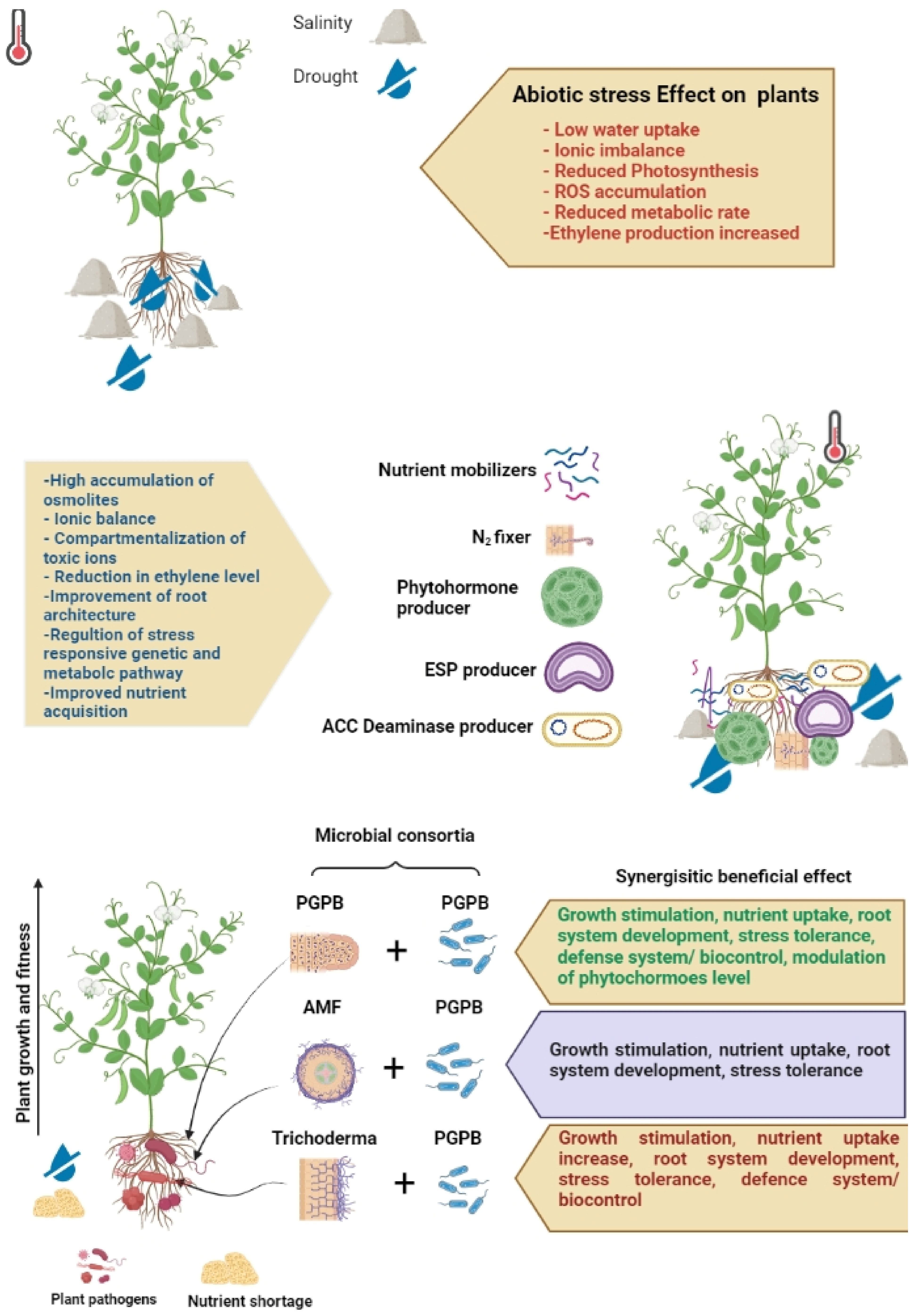Molecular and Physiological Mechanisms to Mitigate Abiotic Molecular and Physiological Mechanisms to Mitigate Abiotic