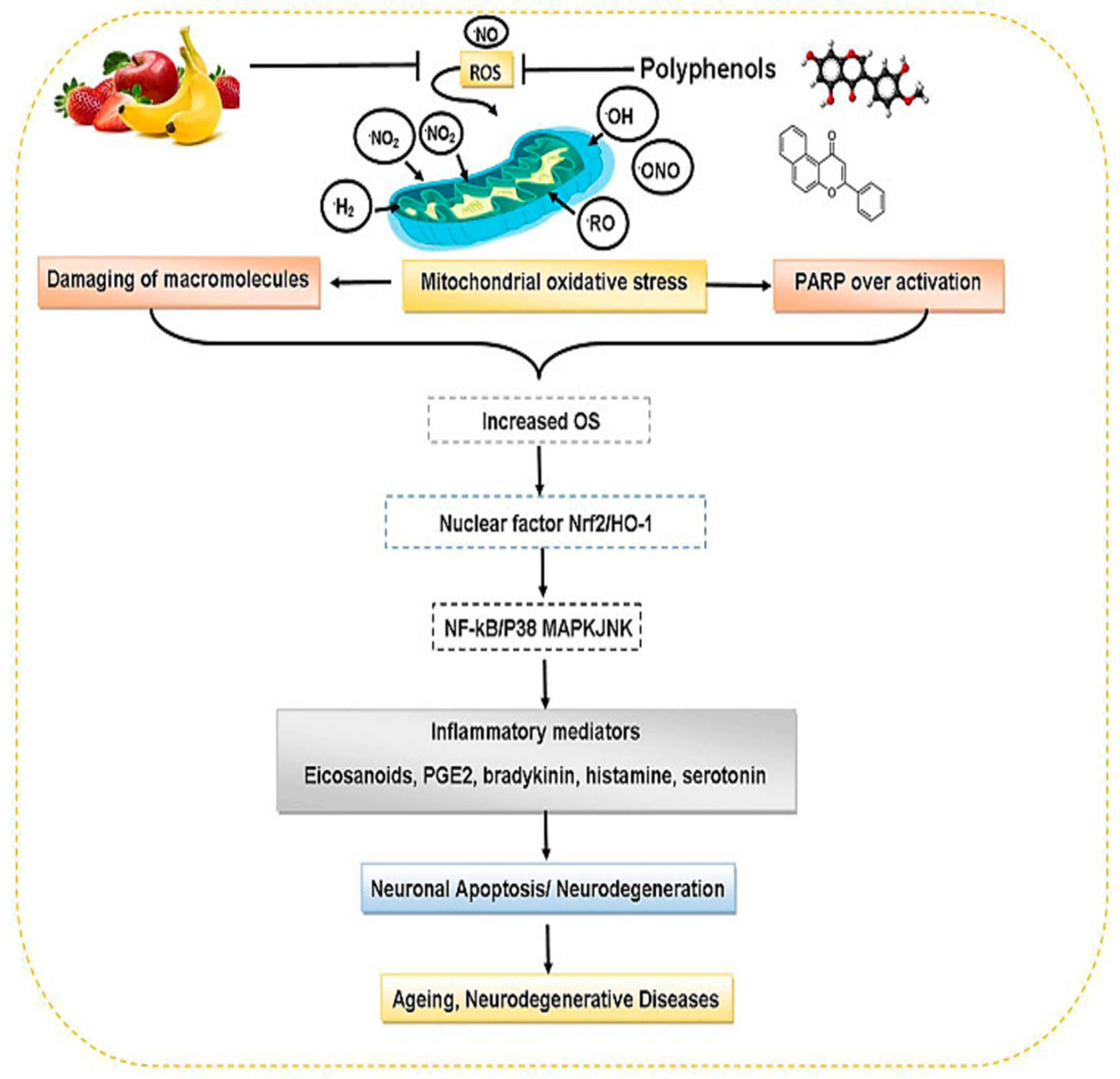Life 12 01639 g005 Life 12 01639 g005