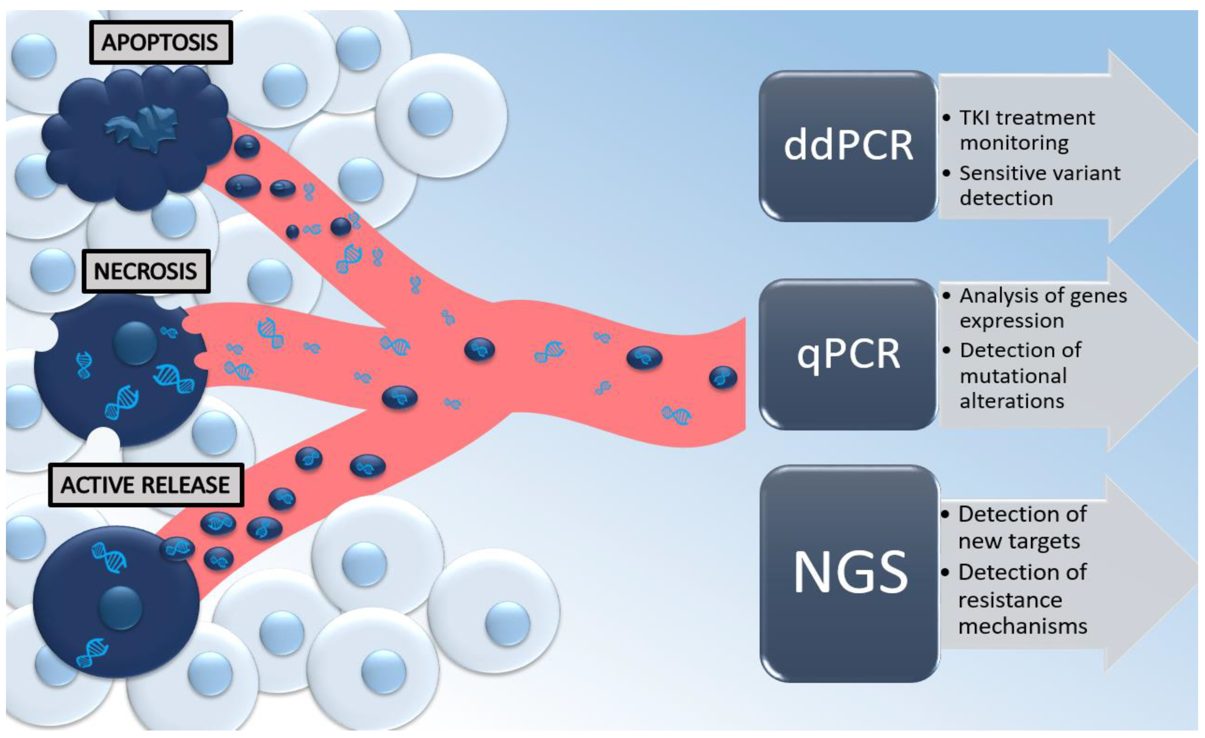 Life 12 01640 g001 Life 12 01640 g001