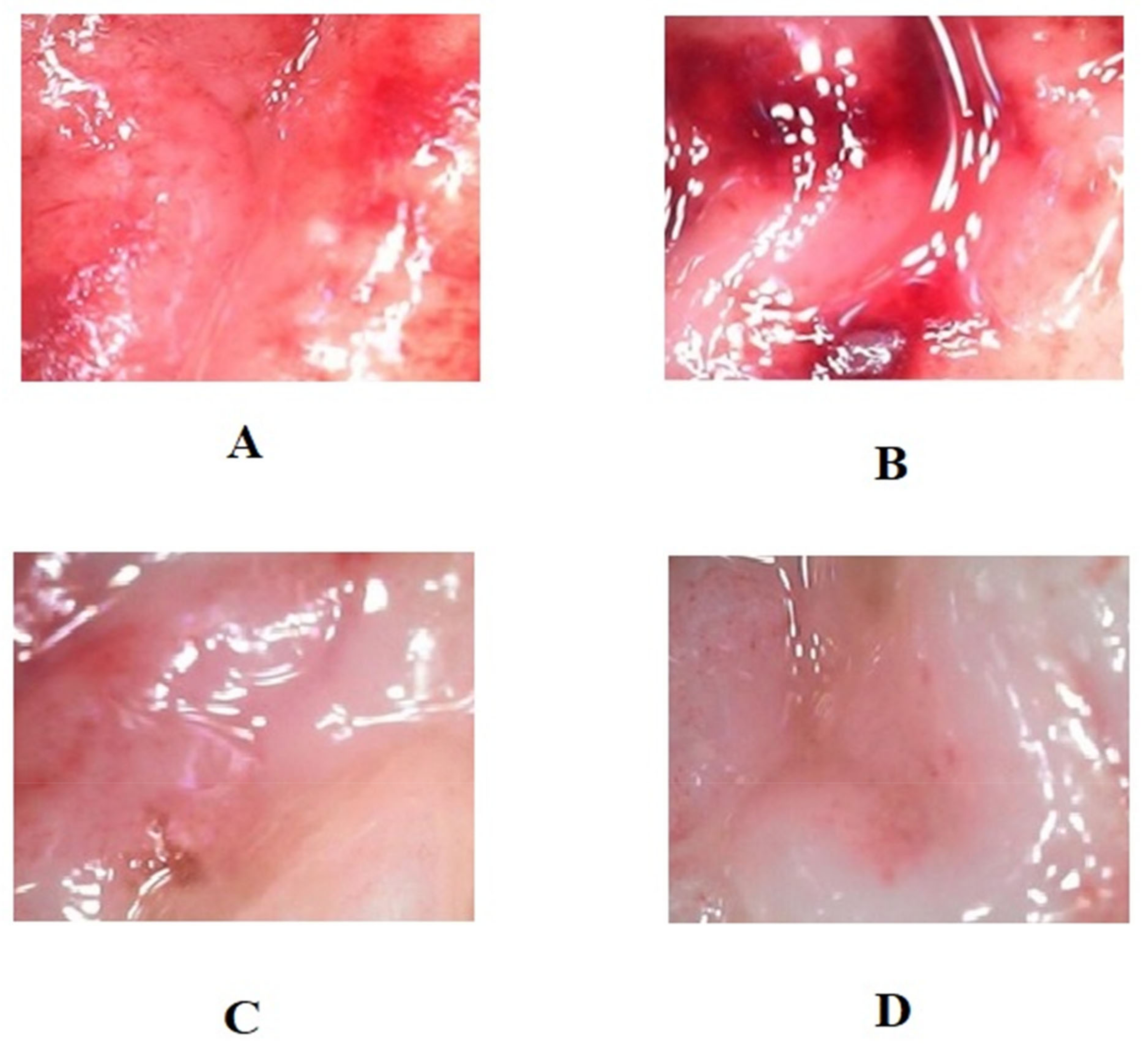 Life 12 01641 g004 Life 12 01641 g004