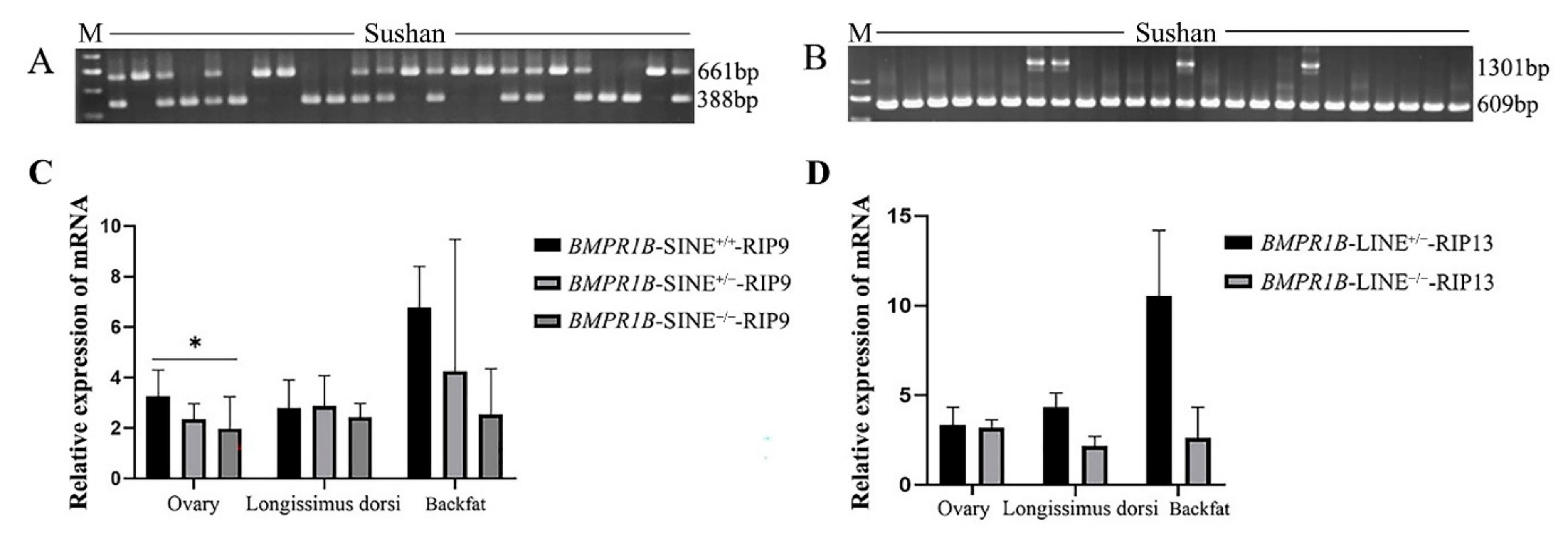 Life 12 01650 g002 Life 12 01650 g002