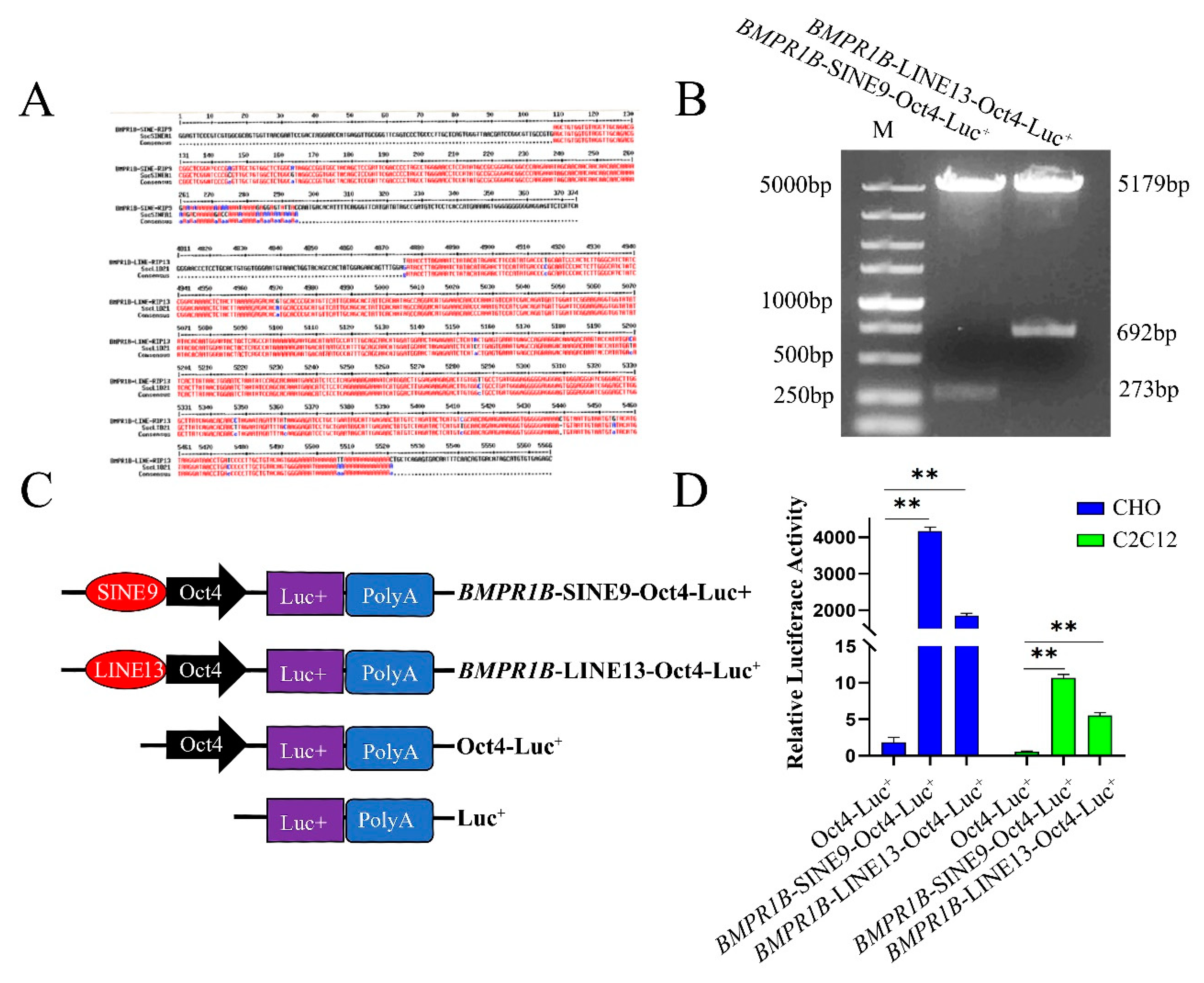 Life 12 01650 g003 Life 12 01650 g003