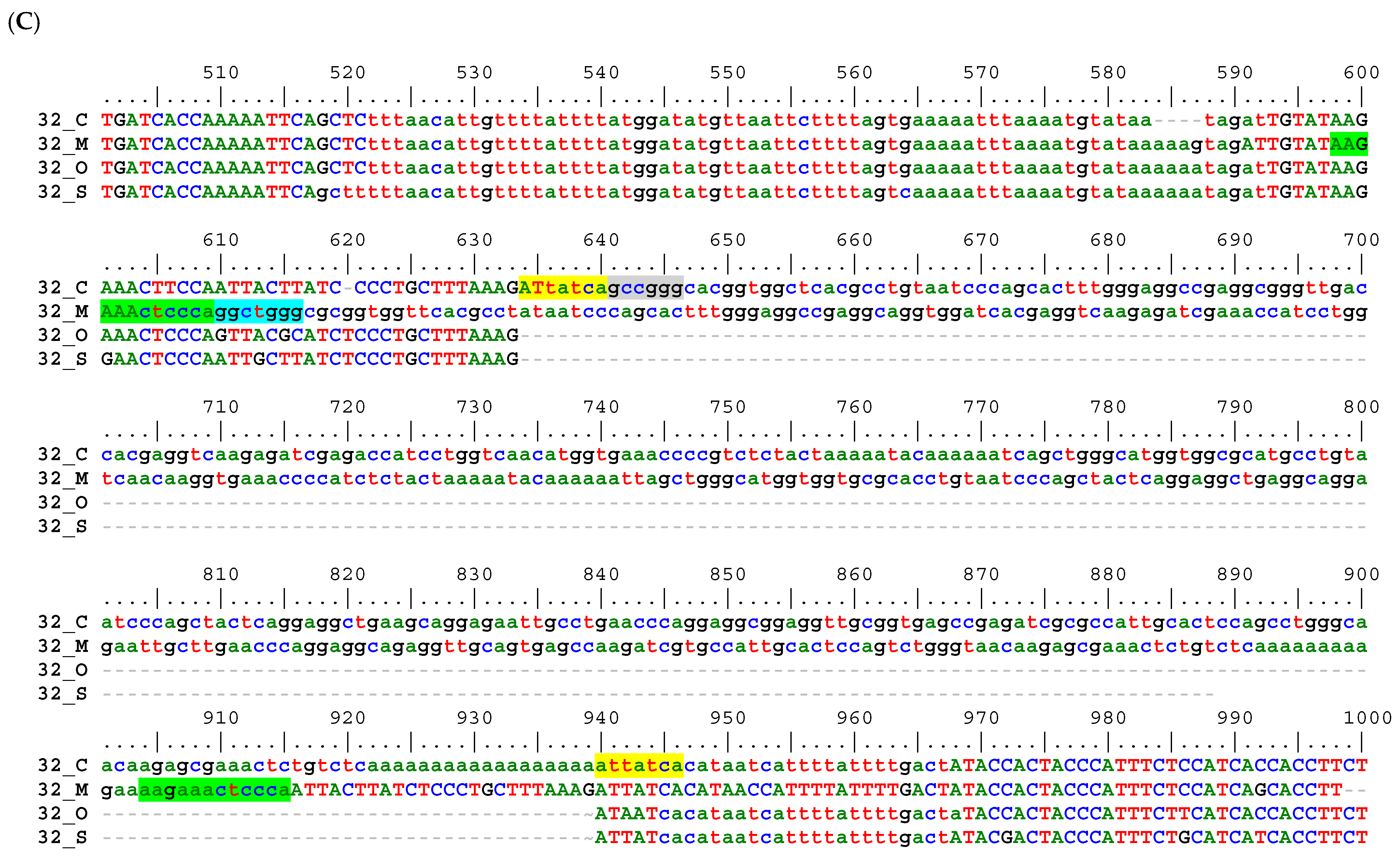 Life 12 01655 g004b Life 12 01655 g004b