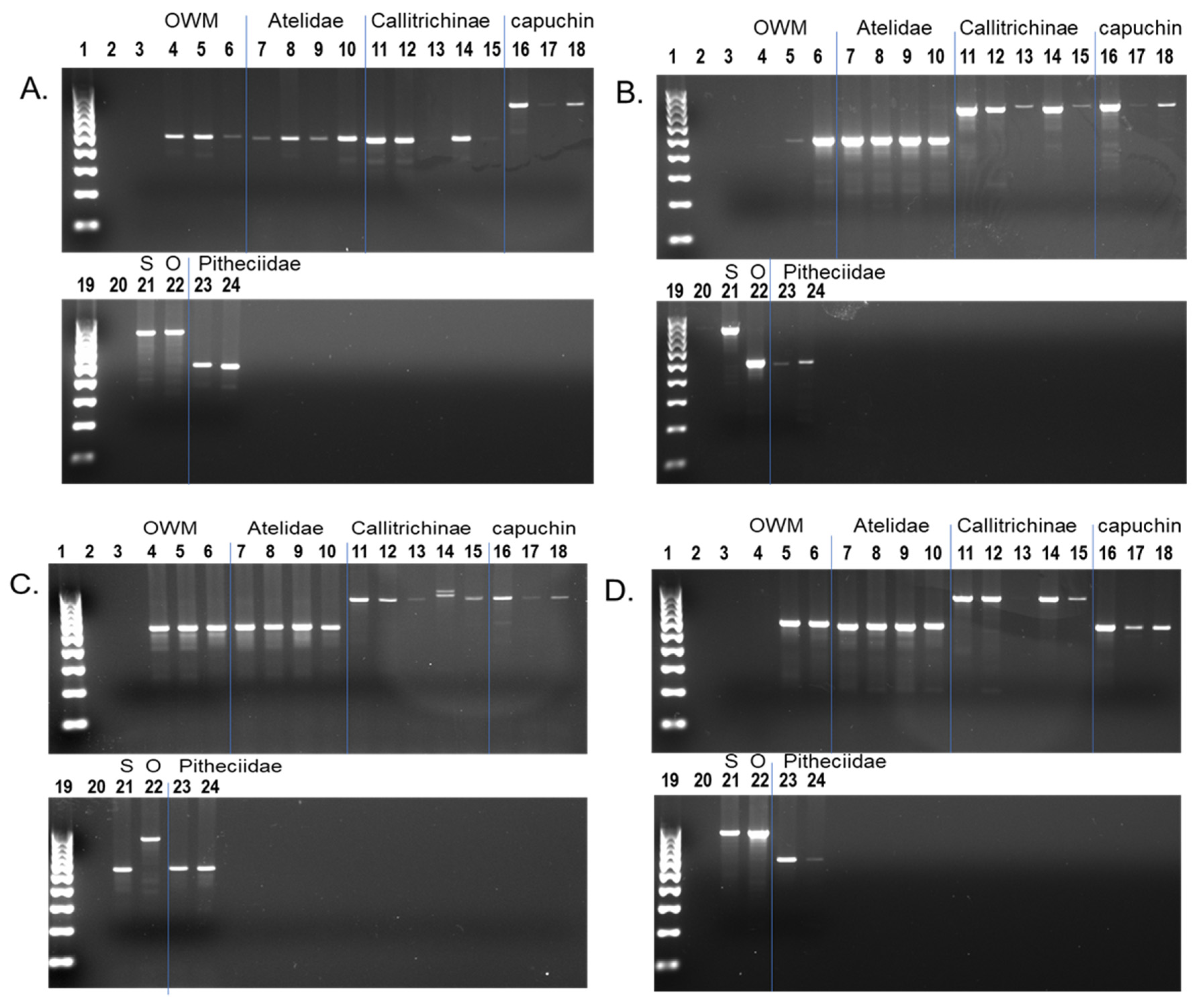 Life 12 01655 g005 Life 12 01655 g005