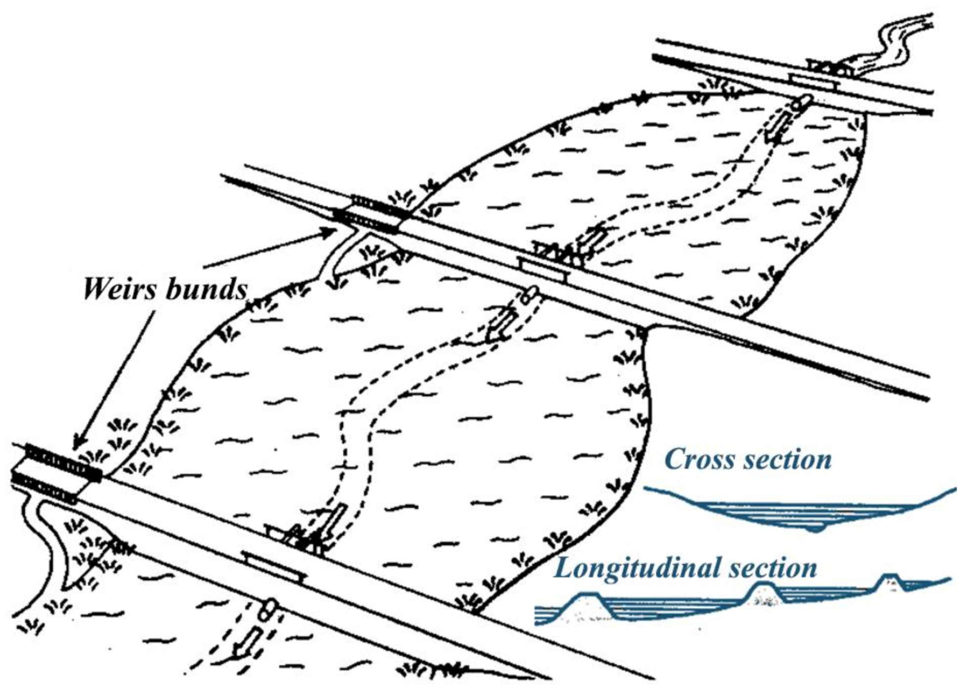 Life 12 01661 g031 550