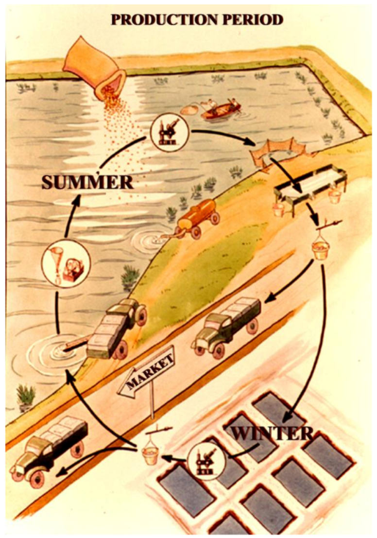 Life 12 01661 g033 550