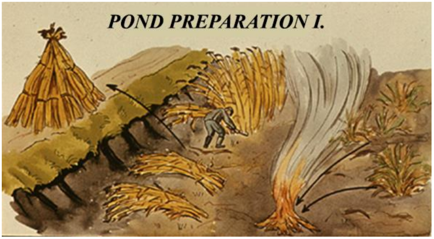 Life 12 01661 g034 550