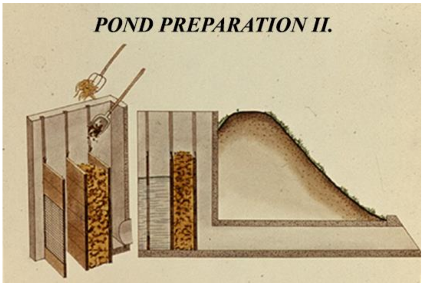 Life 12 01661 g035 550