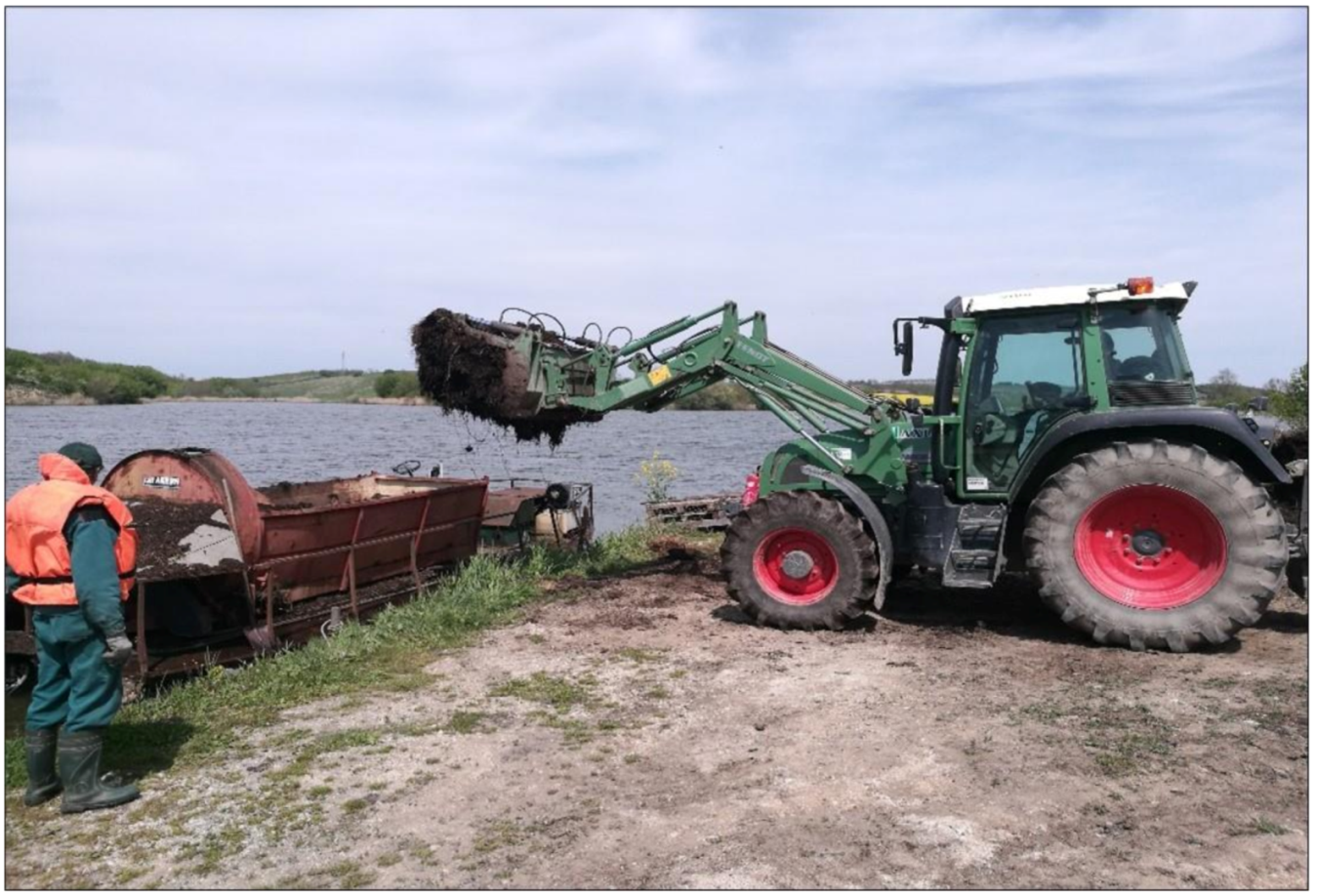 Life 12 01661 g036 550