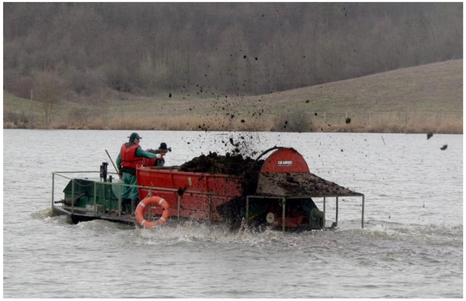 Life 12 01661 g037 550