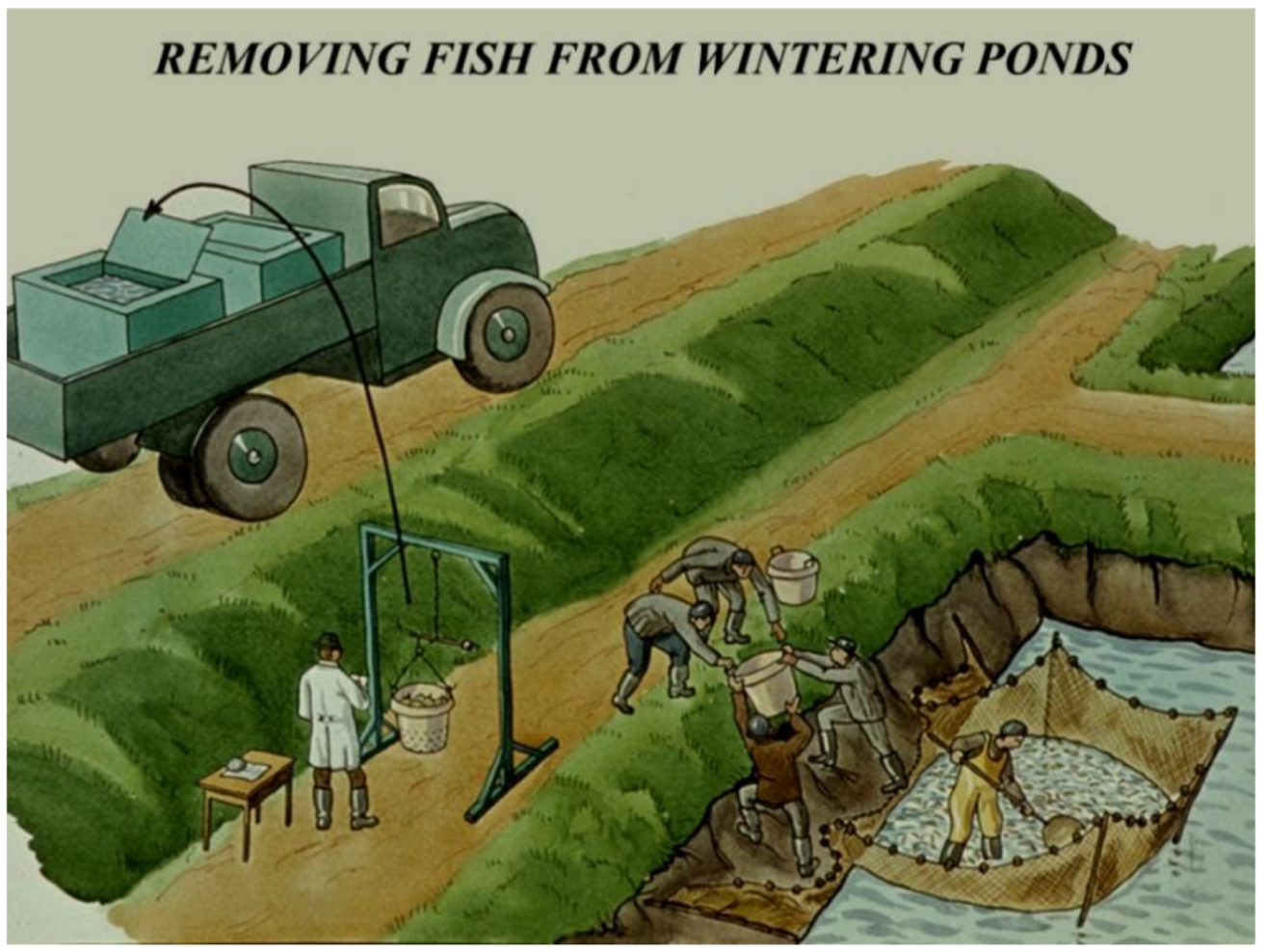 Life 12 01661 g039 550