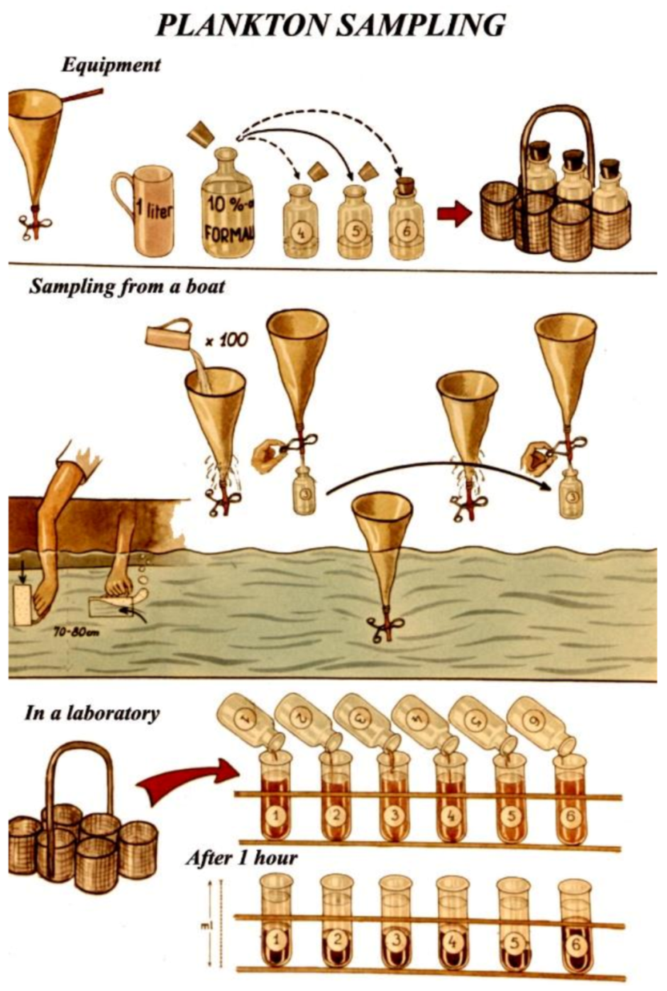 Life 12 01661 g041 550