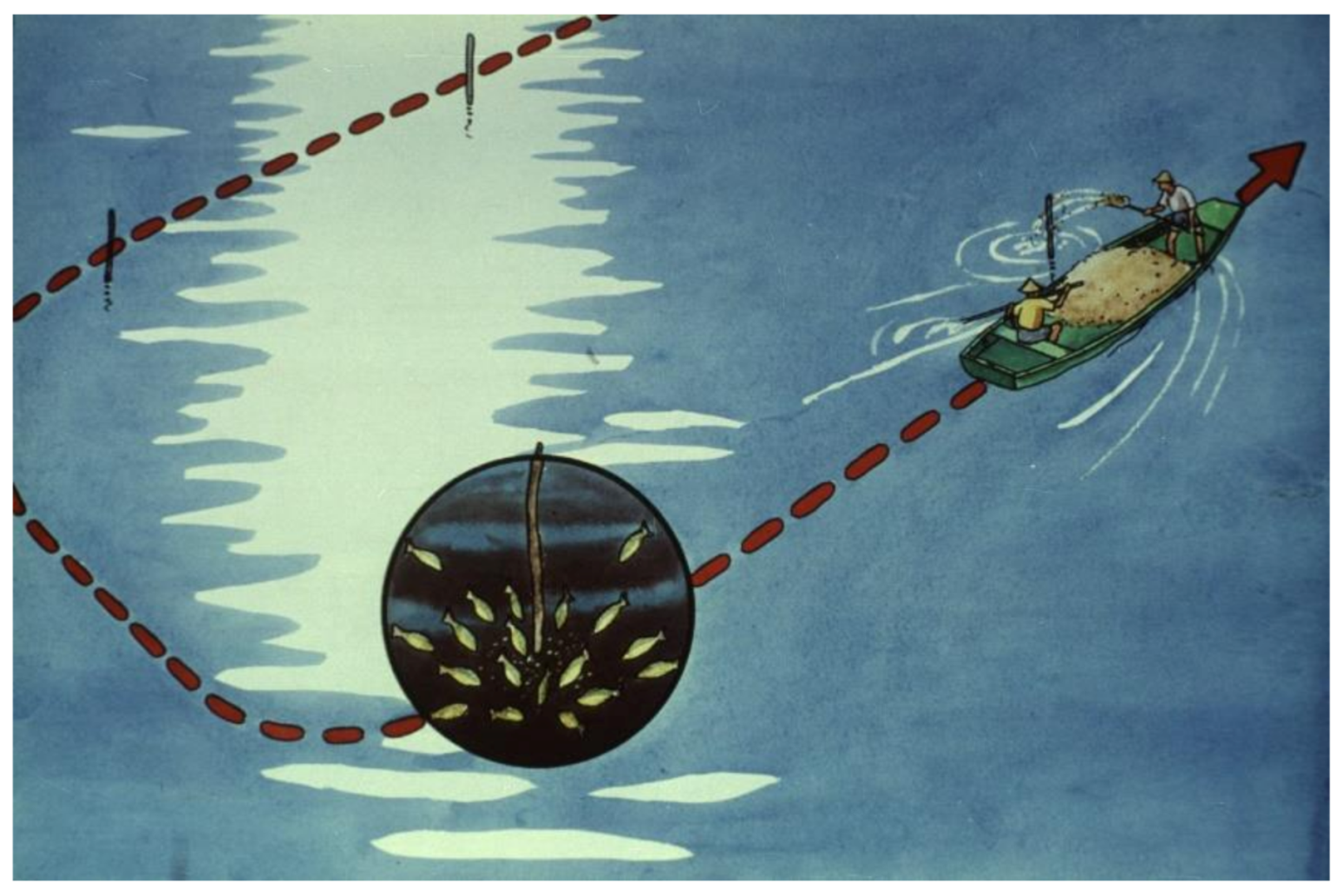 Life 12 01661 g042 550