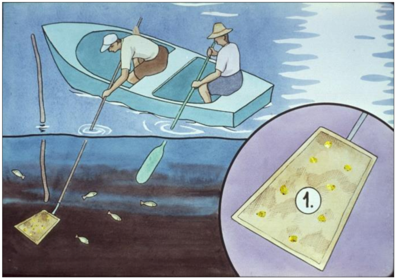 Life 12 01661 g043 550