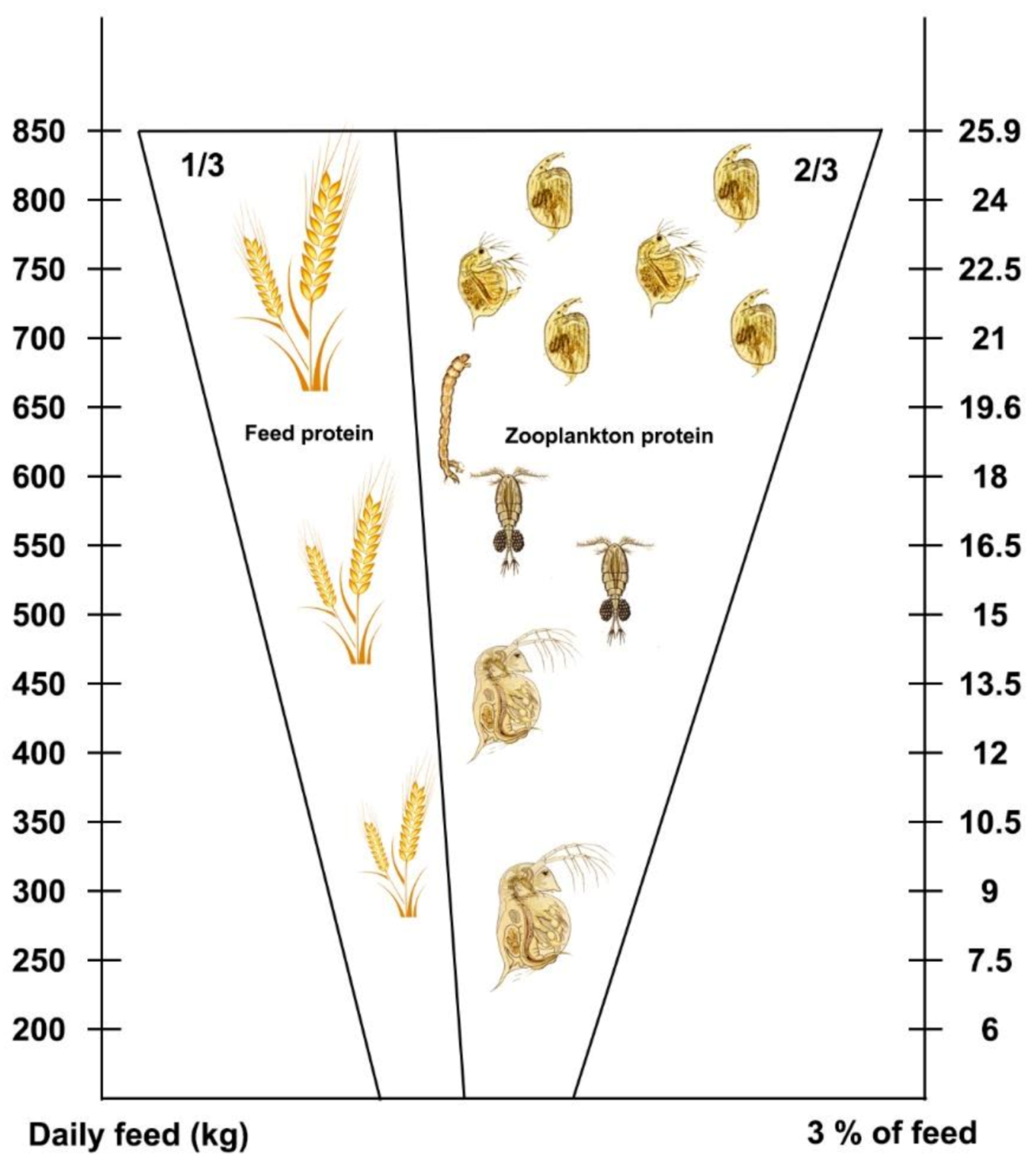 Life 12 01661 g044 550