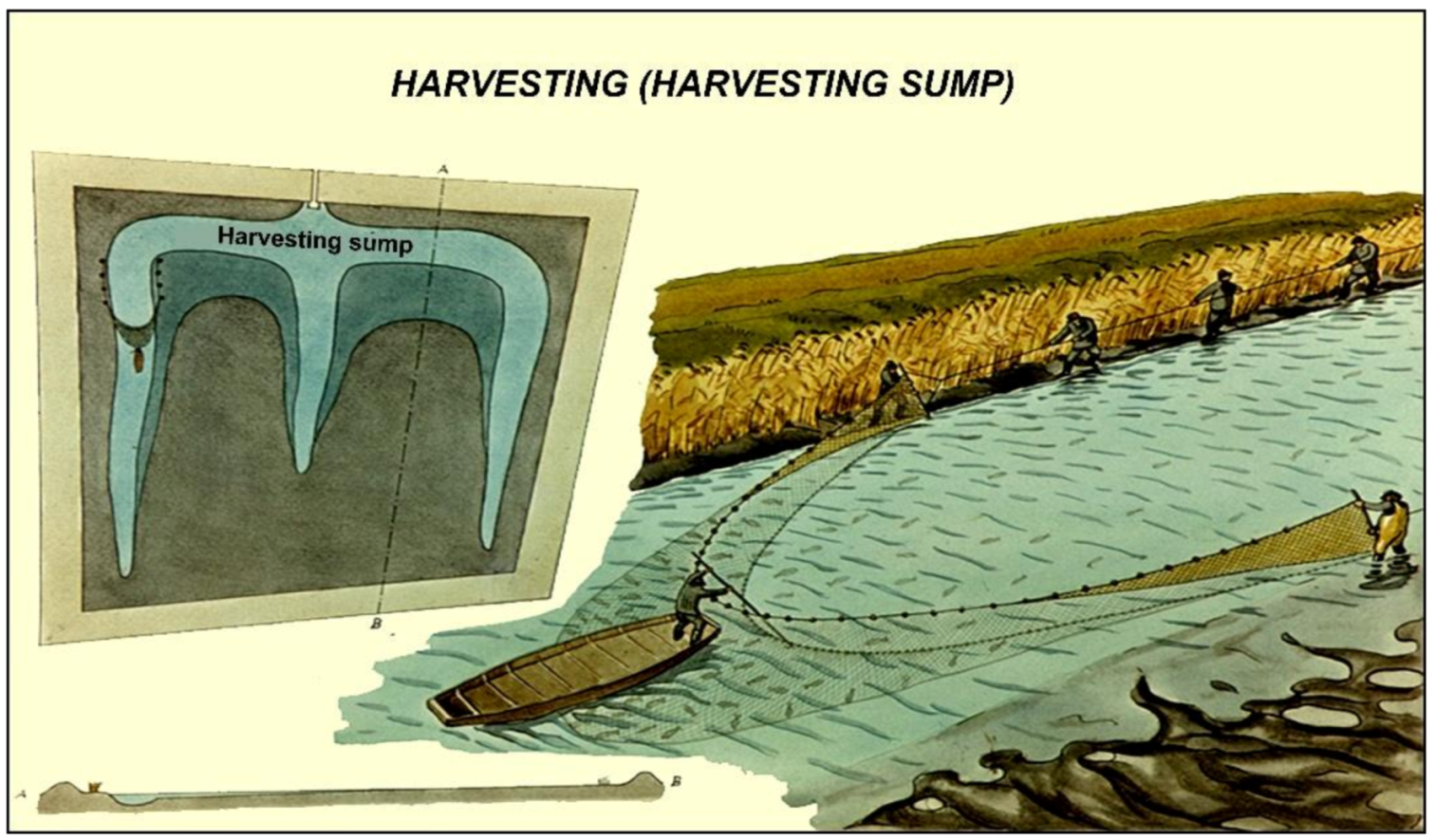 Life 12 01661 g045 550