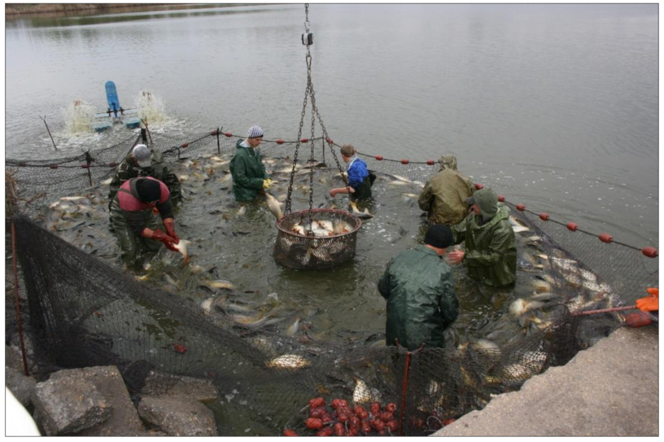 Life 12 01661 g046 550